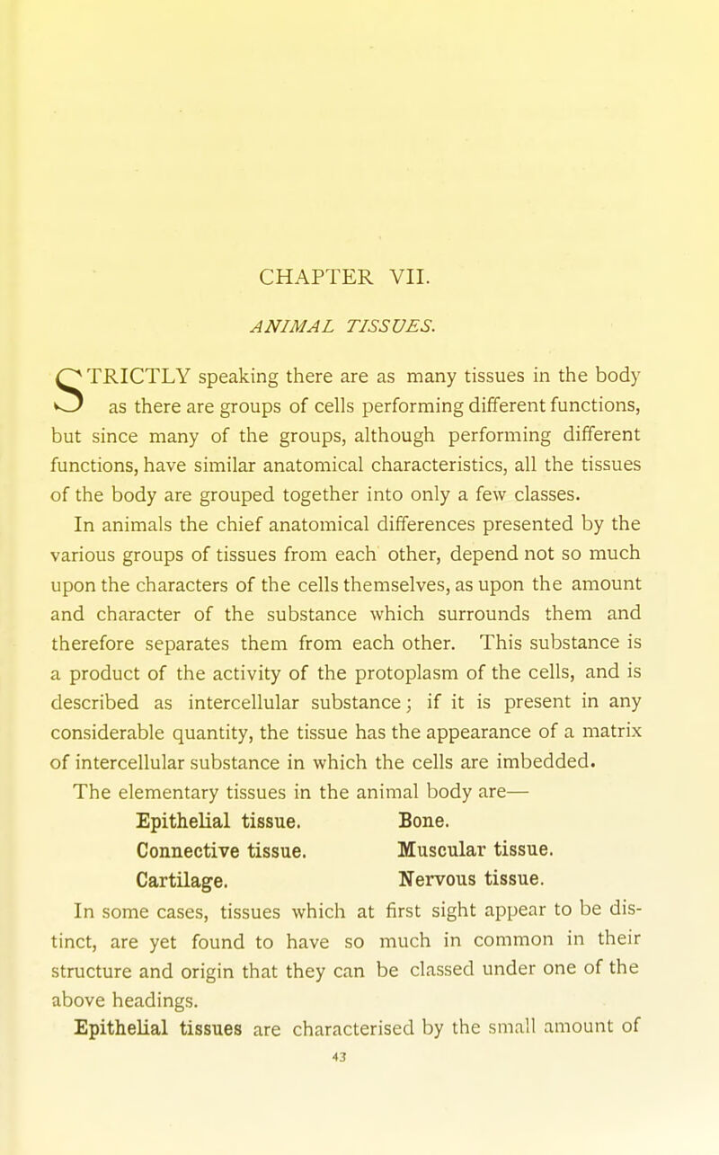 ANIMAL TISSUES. TRICTLY speaking there are as many tissues in the body O as there are groups of cells performing different functions, but since many of the groups, although performing different functions, have similar anatomical characteristics, all the tissues of the body are grouped together into only a few classes. In animals the chief anatomical differences presented by the various groups of tissues from each other, depend not so much upon the characters of the cells themselves, as upon the amount and character of the substance which surrounds them and therefore separates them from each other. This substance is a product of the activity of the protoplasm of the cells, and is described as intercellular substance; if it is present in any considerable quantity, the tissue has the appearance of a matrix of intercellular substance in which the cells are imbedded. The elementary tissues in the animal body are— In some cases, tissues which at first sight appear to be dis- tinct, are yet found to have so much in common in their structure and origin that they can be classed under one of the above headings. Epithelial tissues are characterised by the small amount of Epithelial tissue. Connective tissue. Cartilage. Bone. Muscular tissue. Nervous tissue.
