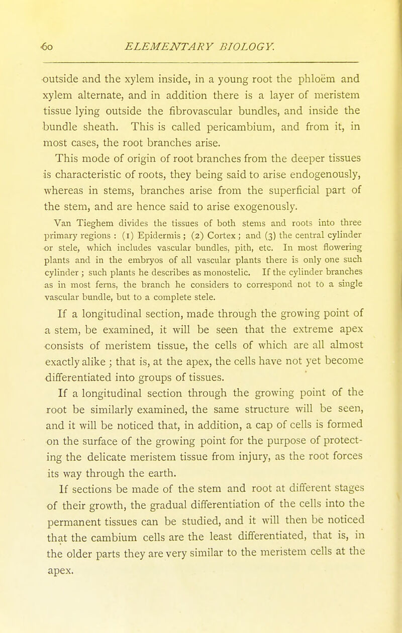 outside and the xylem inside, in a young root the phloem and xylem alternate, and in addition there is a layer of meristem tissue lying outside the fibrovascular bundles, and inside the bundle sheath. This is called pericambium, and from it, in most cases, the root branches arise. This mode of origin of root branches from the deeper tissues is characteristic of roots, they being said to arise endogenously, whereas in stems, branches arise from the superficial part of the stem, and are hence said to arise exogenously. Van Tieghem divides the tissues of both stems and roots into three primary regions : (i) Epidermis ; (2) Cortex ; and (3) the central cylinder or stele, which includes vascular bundles, pith, etc. In most flowering plants and in the embryos of all vascular plants there is only one such cylinder ; such plants he describes as monostelic. If the cylinder branches as in most ferns, the branch he considers to correspond not to a single vascular bundle, but to a complete stele. If a longitudinal section, made through the growing point of a stem, be examined, it will be seen that the extreme apex consists of meristem tissue, the cells of which are all almost exactly alike ; that is, at the apex, the cells have not yet become differentiated into groups of tissues. If a longitudinal section through the growing point of the root be similarly examined, the same structure will be seen, and it will be noticed that, in addition, a cap of cells is formed on the surface of the growing point for the purpose of protect- ing the delicate meristem tissue from injury, as the root forces its way through the earth. If sections be made of the stem and root at different stages of their growth, the gradual differentiation of the cells into the permanent tissues can be studied, and it will then be noticed that the cambium cells are the least differentiated, that is, in the older parts they are very similar to the meristem cells at the apex.