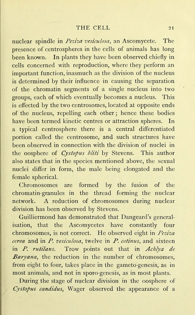 nuclear spindle in Peziza vesiculosa, an Ascomycete. The presence of centrospheres in the cells of animals has long been known. In plants they have been observed chiefly in cells concerned with reproduction, where they perform an important function, inasmuch as the division of the nucleus is determined by their influence in causing the separation of the chromatin segments of a single nucleus into two groups, each of which eventually becomes a nucleus. This is effected by the two centrosomes, located at opposite ends of the nucleus, repelling each other; hence these bodies have been termed kinetic centres or attraction spheres. In a typical centrosphere there is a central differentiated portion called the centrosome, and such structures have been observed in connection with the division of nuclei in the oosphere of Cystopus bliti by Stevens. This author also states that in the species mentioned above, the sexual nuclei differ in form, the male being elongated and the female spherical. Chromosomes are formed by the fusion of the chromatin-granules in the thread forming the nuclear network. A reduction of chromosomes during nuclear division has been observed by Stevens. Guilliermond has demonstrated that Dangeard’s general- isation, that the Ascomycetes have constantly four chromosomes, is not correct. He observed eight in Peziza cerea and in P. vesiculosa, twelve in P. cotinus, and sixteen in P. rutilans. Trow points out that in Achlya de Baryana, the reduction in the number of chromosomes, from eight to four, takes place in the gameto-genesis, as in most animals, and not in sporo-genesis, as in most plants. During the stage of nuclear division in the oosphere of Cystopus candidus, Wager observed the appearance of a