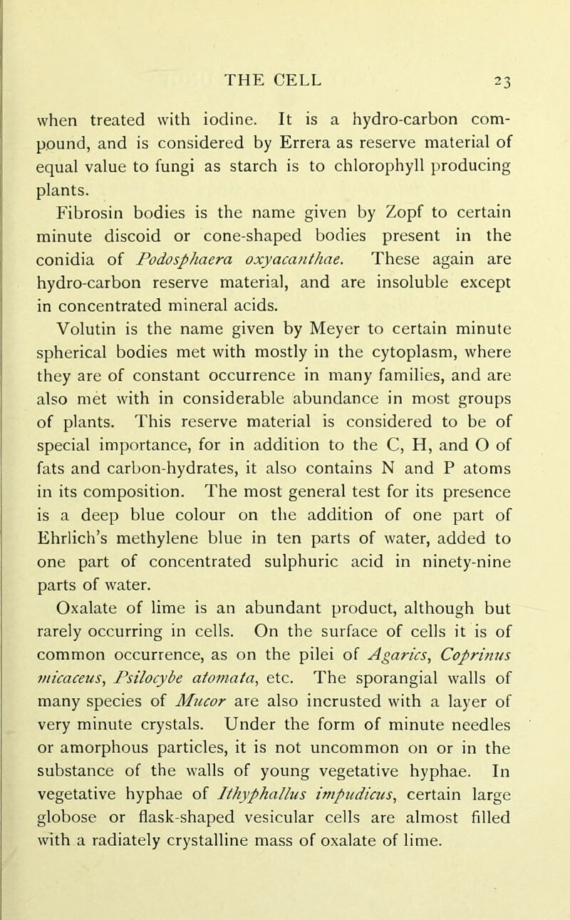 when treated with iodine. It is a hydro-carbon com- pound, and is considered by Errera as reserve material of equal value to fungi as starch is to chlorophyll producing plants. Fibrosin bodies is the name given by Zopf to certain minute discoid or cone-shaped bodies present in the conidia of Podosphaera oxyacanthae. These again are hydro-carbon reserve material, and are insoluble except in concentrated mineral acids. Volutin is the name given by Meyer to certain minute spherical bodies met with mostly in the cytoplasm, where they are of constant occurrence in many families, and are also met with in considerable abundance in most groups of plants. This reserve material is considered to be of special importance, for in addition to the C, H, and O of fats and carbon-hydrates, it also contains N and P atoms in its composition. The most general test for its presence is a deep blue colour on the addition of one part of Ehrlich’s methylene blue in ten parts of water, added to one part of concentrated sulphuric acid in ninety-nine parts of water. Oxalate of lime is an abundant product, although but rarely occurring in cells. On the surface of cells it is of common occurrence, as on the pilei of Agarics, Coprinus micaceus, Psilocybe atomata, etc. The sporangial walls of many species of Mucor are also incrusted with a layer of very minute crystals. Under the form of minute needles or amorphous particles, it is not uncommon on or in the substance of the walls of young vegetative hyphae. In vegetative hyphae of Ithyphallus impudicus, certain large globose or flask-shaped vesicular cells are almost filled with a radiately crystalline mass of oxalate of lime.