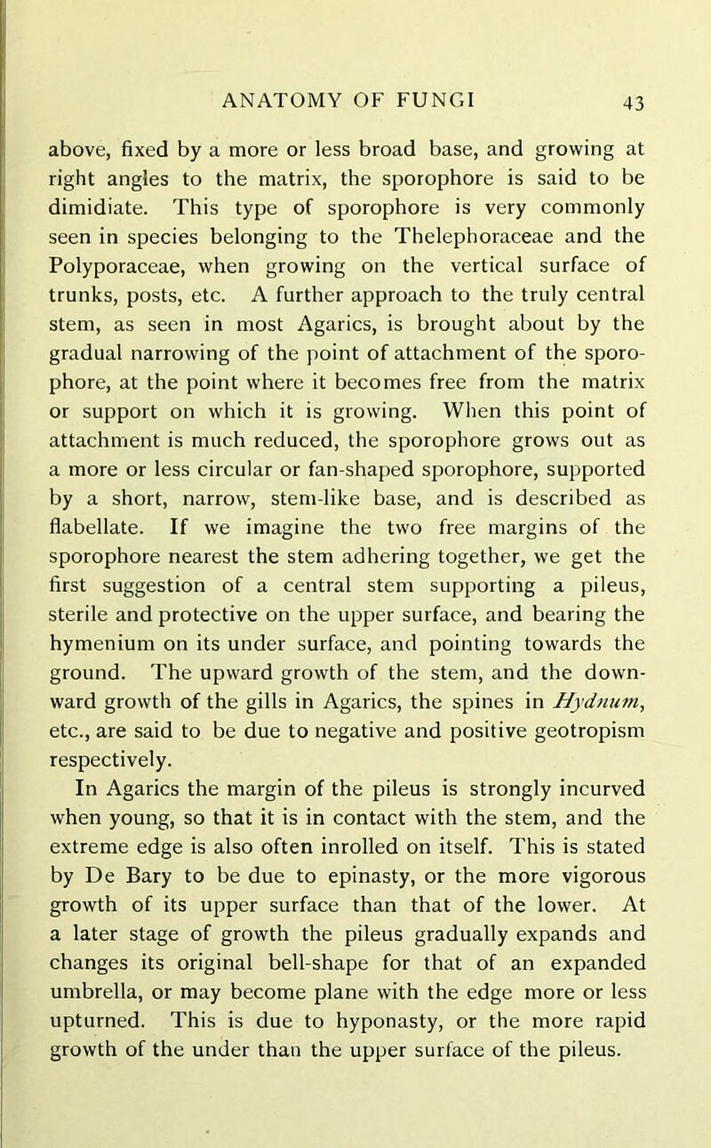 above, fixed by a more or less broad base, and growing at right angles to the matrix, the sporophore is said to be dimidiate. This type of sporophore is very commonly seen in species belonging to the Thelephoraceae and the Polyporaceae, when growing on the vertical surface of trunks, posts, etc. A further approach to the truly central stem, as seen in most Agarics, is brought about by the gradual narrowing of the point of attachment of the sporo- phore, at the point where it becomes free from the matrix or support on which it is growing. When this point of attachment is much reduced, the sporophore grows out as a more or less circular or fan-shaped sporophore, supported by a short, narrow, stem-like base, and is described as flabellate. If we imagine the two free margins of the sporophore nearest the stem adhering together, we get the first suggestion of a central stem supporting a pileus, sterile and protective on the upper surface, and bearing the hymenium on its under surface, and pointing towards the ground. The upward growth of the stem, and the down- ward growth of the gills in Agarics, the spines in Hydnum, etc., are said to be due to negative and positive geotropism respectively. In Agarics the margin of the pileus is strongly incurved when young, so that it is in contact with the stem, and the extreme edge is also often inrolled on itself. This is stated by De Bary to be due to epinasty, or the more vigorous growth of its upper surface than that of the lower. At a later stage of growth the pileus gradually expands and changes its original bell-shape for that of an expanded umbrella, or may become plane with the edge more or less upturned. This is due to hyponasty, or the more rapid growth of the under than the upper surface of the pileus.