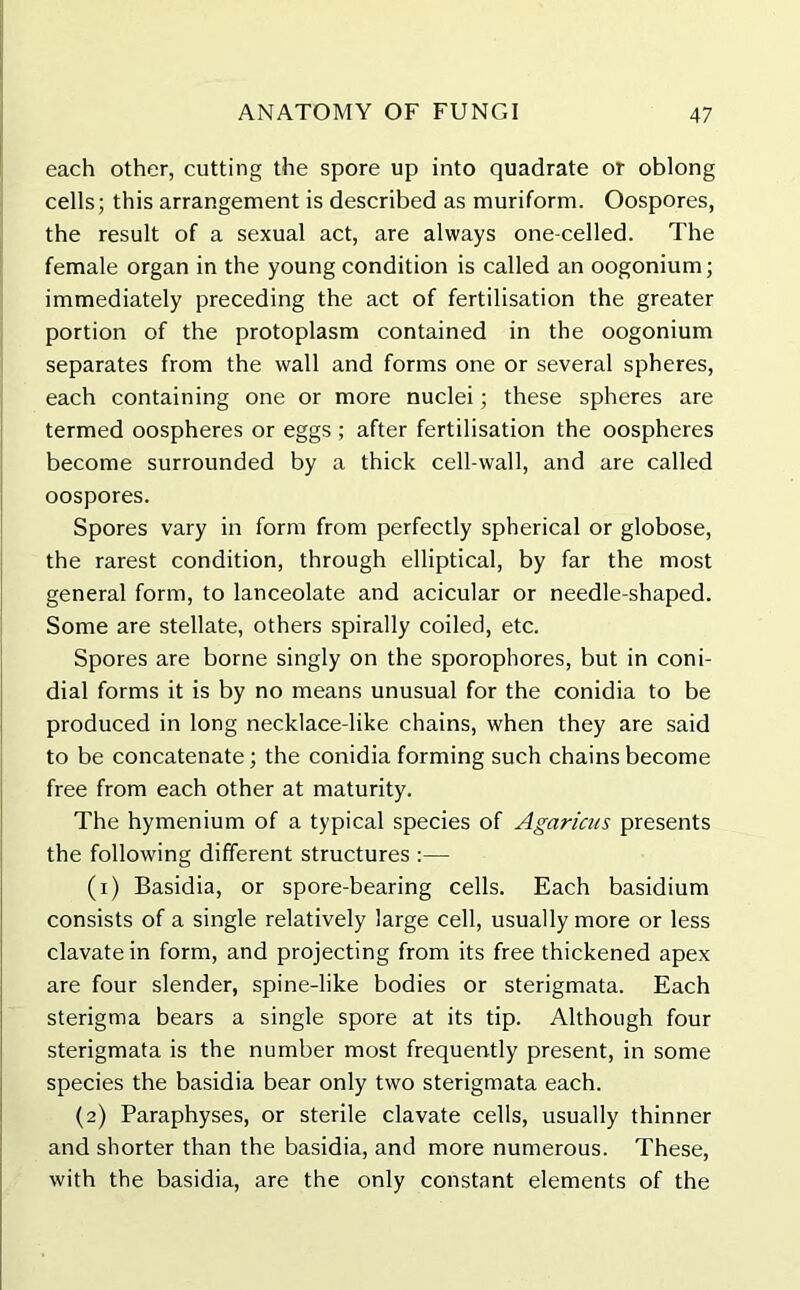 each other, cutting the spore up into quadrate or oblong cells; this arrangement is described as muriform. Oospores, the result of a sexual act, are always one-celled. The female organ in the young condition is called an oogonium; immediately preceding the act of fertilisation the greater portion of the protoplasm contained in the oogonium separates from the wall and forms one or several spheres, each containing one or more nuclei; these spheres are termed oospheres or eggs; after fertilisation the oospheres become surrounded by a thick cell-wall, and are called oospores. Spores vary in form from perfectly spherical or globose, the rarest condition, through elliptical, by far the most general form, to lanceolate and acicular or needle-shaped. Some are stellate, others spirally coiled, etc. Spores are borne singly on the sporophores, but in coni- dial forms it is by no means unusual for the conidia to be produced in long necklace-like chains, when they are said to be concatenate; the conidia forming such chains become free from each other at maturity. The hymenium of a typical species of Agaricus presents the following different structures :— (i) Basidia, or spore-bearing cells. Each basidium consists of a single relatively large cell, usually more or less clavatein form, and projecting from its free thickened apex are four slender, spine-like bodies or sterigmata. Each sterigma bears a single spore at its tip. Although four sterigmata is the number most frequently present, in some species the basidia bear only two sterigmata each. (2) Paraphyses, or sterile clavate cells, usually thinner and shorter than the basidia, and more numerous. These, with the basidia, are the only constant elements of the