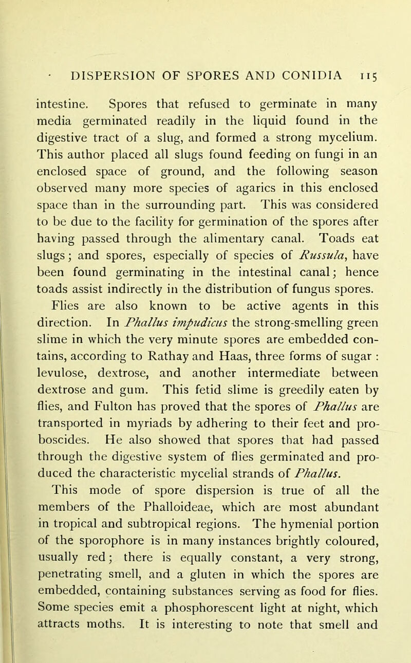 intestine. Spores that refused to germinate in many media germinated readily in the liquid found in the digestive tract of a slug, and formed a strong mycelium. This author placed all slugs found feeding on fungi in an enclosed space of ground, and the following season observed many more species of agarics in this enclosed space than in the surrounding part. This was considered to be due to the facility for germination of the spores after having passed through the alimentary canal. Toads eat slugs; and spores, especially of species of Russula, have been found germinating in the intestinal canal; hence toads assist indirectly in the distribution of fungus spores. Flies are also known to be active agents in this direction. In Phallus impudicus the strong-smelling green slime in which the very minute spores are embedded con- tains, according to Rathay and Haas, three forms of sugar : levulose, dextrose, and another intermediate between dextrose and gum. This fetid slime is greedily eaten by flies, and Fulton has proved that the spores of Phallus are transported in myriads by adhering to their feet and pro- boscides. He also showed that spores that had passed through the digestive system of flies germinated and pro- duced the characteristic mycelial strands of Phallus. This mode of spore dispersion is true of all the members of the Phalloideae, which are most abundant in tropical and subtropical regions. The hymenial portion of the sporophore is in many instances brightly coloured, usually red; there is equally constant, a very strong, penetrating smell, and a gluten in which the spores are embedded, containing substances serving as food for flies. Some species emit a phosphorescent light at night, which attracts moths. It is interesting to note that smell and