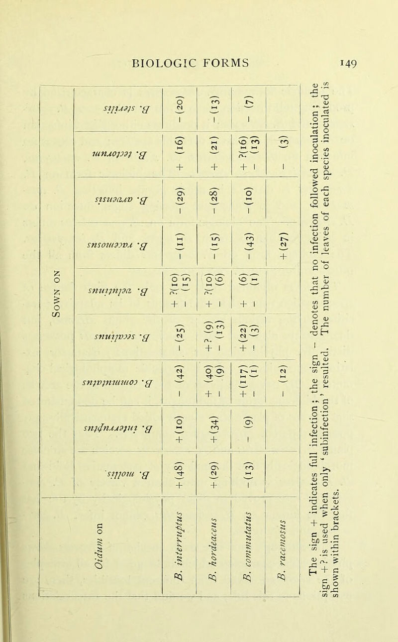 Sown on 0 ro SIJIA9JS -g N 1 1 1 Co' Co ro ro MtiAopd} *g St rv.. + + + 1 1 . Oh C^T o' sisud&AV -g 1 N 1 1 snsoutdivj. *g (II) m ro M 1 1 1 + 0 *0 0C0 VO ^ snutfnpa 'g rv. pT + 1 + 1 + 1 On ro S7iuijv??s 'g M n-. ' Cl ^ 1 + 1 + ! cT oS cT rt- »—1 snjvinmmoi 'g ' ' 1 +1 + 1 1 snjiJn.ijvjui ■</ o' ? ro 5 + + 1 CO 'on ro sttfoiu ‘g N + + 1 <o c 0 k *3 s £ R $ ■Ki Vj 8 cq «5 The sign + indicates full infection ; the sign - denotes that no infection followed inoculation ; the sign +?is used when only ‘subinfection’ resulted. The number of leaves of each species inoculated is shown within brackets.