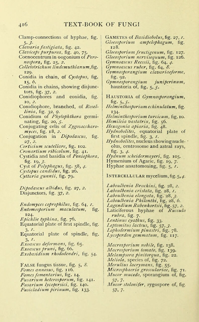 Clamp-connections of hyphae, fig. 1 5.S- Clavana fastigiata, fig. 42. Claviceps purpurea, fig. 40, 75. Coenocentrum in oogonium of Pero- nospora, fig. 25, 2. Colletotrichum lindemuthianum,fig. 129. Conidia in chain, of Cystopus, fig. 15, 6. Conidia in chains, showing disjunc- tors, fig. 37, 2. Conidiophores and conidia, fig. 10, 2. Conidiophore, branched, of Rosel- linia, fig. 32, 9. Conidium of Phyiophthora germi- nating, fig. 20, j. Conjugating cells of Zygosaccharo- myces, fig. 18, 2. Conjugation in Dipodascus, fig. 27, 2. Corticium scutellare, fig. 102. Cronartium ribicolum, fig. 41. Cystidia and basidia of Peniophora, fig. 19, j. Cyst of Polyphagus, fig. 58, 4. Cystopus candidus, fig. 26. Cyttaria gunnii, fig. 79. Gametes of Basidiobolus, fig. 27,1. Gloeosporium ampelophagum, fig. 128. Gloeosporium fructigenum, fig. 127. Gloeosporium nervisequum, fig. 126. Gymnoascus Peessii, fig. 64, 4. Gymnoascus ruber, fig. 64, 8. Gymnosporangium clavariaeforme, fig. 92. Gymnosporangium juniperininn, haustoria of, fig. 5,5. Haustoria of Gymnosporangium, fig-S.J- Helminthosporium echi?iulatum, fig. I34- Hehriinthosponum turcicum, fig. 10. Hemileia vastatrix, fig. 56. Hexagonia apiaria, fig. 48. Hydnobolites, equatorial plate of first spindle, fig. 3, 1. Hydnobolites, nucleus showing nucle- • olus, centrosome and astral rays, fig- 3. 4- Hydnum scheidermayeri, fig. 105. Hymenium of Agaric, fig. 19, 7. Hyphae anastomosing, fig. 5, 1. Intercellular mycelium, fig.5,.7. Dipodascus alliidus, fig. 27, 2. Disjunctors, fig. 37, 2. Endomyces coprophilus, fig. 64, 1. Entomosporium maculatum, fig. 124. Epichlbe typhina, fig. 76. Equatorial plate of first spindle, fig. 3. r- Equatorial plate of spindle, fig 3, !■ Exoascus deformans, fig. 65. Exoascuspruni, fig. 66. Exobasidium rhododendri, fig. 54. False fungus tissue, fig. 5, 8. Pomes annosus, fig. 116. Pomes fomentarius, fig. 14. Fusarium heterosporum, fig. 141. Fusarium lycopersici, fig. 140. Fusicladium pirinum, fig. 133. Laboulbenia Brachhii, fig. 28, 2. Laboulbenia cristata, fig. 28, 1. Laboulbenia elongata, fig. 28, j. Laboulbenia Phflonthi, fig. 28, 6. Lagendiu?n Rabenhortsii, fig. 57, 2. Laticiferous hyphae of Russula rubra, fig. 7. Lentinus cyathus, fig. 33. Leptomitus lacteus, fig. 57, j. Lophodermium pinastri, fig. 78. Lycoperdon gemmatum, fig. 117. Macrosporium nobile, fig. 138. Macrosporium tomato, fig. 139. Melanipsora pinitorqua, fig. 22. Meliola, species of, fig. 72. Merulius lacrymans, fig. 55. Microsphaeria grossulariae, fig. 71. Mucor mucedo, sporangium of, fig. 57. 7- Mucor stolonifer, zygospore of, fig. 57, 7-