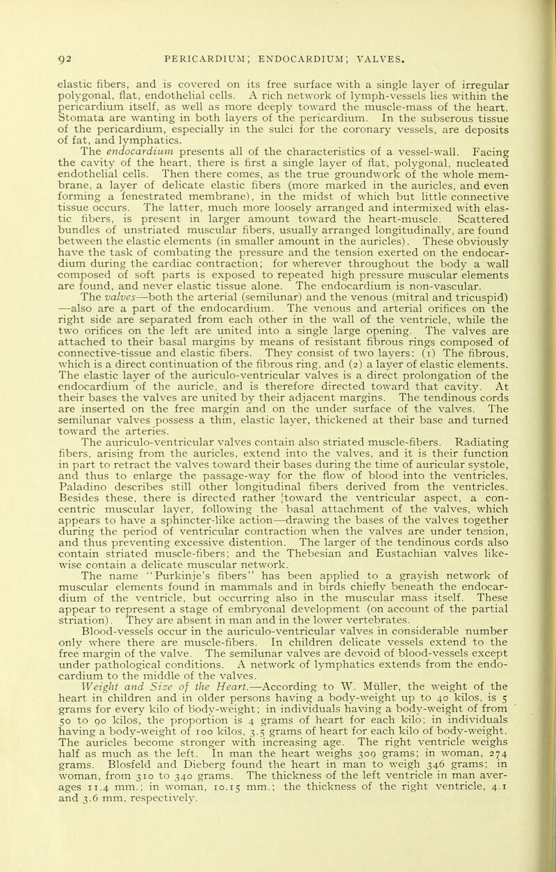 elastic fibers, and is covered on its free surface with a single layer of irregular polygonal, flat, endothelial cells. A rich network of lymph-vessels lies within the pericardium itself, as well as more deeply toward the muscle-mass of the heart. Stomata are wanting in both layers of the pericardium. In the subserous tissue of the pericardium, especially in the sulci for the coronary vessels, are deposits of fat, and lymphatics. The endocardium presents all of the characteristics of a vessel-wall. Facing the cavity of the heart, there is first a single layer of flat, polygonal, nucleated endothelial cells. Then there comes, as the true groundwork of the whole mem- brane, a layer of delicate elastic fibers (more marked in the auricles, and even forming a fenestrated membrane), in the midst of which but little connective tissue occurs. The latter, much more loosely arranged and intermixed with elas- tic fibers, is present in larger amount toward the heart-muscle. Scattered bundles of unstriated muscular fibers, usually arranged longitudinallv, are found between the elastic elements (in smaller amount in the auricles). These obviously have the task of combating the pressure and the tension exerted on the endocar- dium during the cardiac contraction; for wherever throughout the body a wall composed of soft parts is exposed to repeated high pressure muscular elements are found, and never elastic tissue alone. The endocardium is non-vascular. The valves—both the arterial (semilunar) and the venous (mitral and tricuspid) —also are a part of the endocardium. The venous and arterial orifices on the right side are separated from each other in the wall of the ventricle, while the two orifices on the left are united into a single large opening. The valves are attached to their basal margins by means of resistant fibrous rings composed of connective-tissue and elastic fibers. They consist of two layers: (i) The fibrous, which is a direct continuation of the fibrous ring, and (2) a layer of elastic elements. The elastic layer of the auriculo-ventricular valves is a direct prolongation of the endocardium of the auricle, and is therefore directed toward that cavity. At their bases the valves are united by their adjacent margins. The tendinous cords are inserted on the free margin and on the under surface of the valves. The semilunar valves possess a thin, elastic layer, thickened at their base and turned toward the arteries. The auriculo-ventricular valves contain also striated muscle-fibers. Radiating fibers, arising from the auricles, extend into the valves, and it is their function in part to retract the valves toward their bases during the time of auricular systole, and thus to enlarge the passage-way for the flow of blood into the ventricles. Paladino describes still other longitudinal fibers derived from the ventricles. Besides these, there is directed rather |toward the ventricular aspect, a con- centric muscular layer, following the basal attachment of the valves, which appears to have a sphincter-like action—drawing the bases of the valves together during the period of ventricular contraction when the valves are under tension, and thus preventing excessive distention. The larger of the tendinous cords also contain striated muscle-fibers; and the Thebesian and Eustachian valves like- wise contain a delicate muscular network. The name Ptirkinje's fibers has been applied to a grayish network of muscular elements fotind in mammals and in birds chiefly beneath the endocar- dium of the ventricle, but occurring also in the muscular mass itself. These appear to represent a stage of embryonal development (on account of the partial striation). They are absent in man and in the lower vertebrates. Blood-vessels occur in the auriculo-ventricular valves in considerable number only where there are muscle-fibers. In children delicate vessels extend to the free margin of the valve. The semilunar valves are devoid of blood-vessels except under pathological conditions. A network of lymphatics extends from the endo- cardium to the middle of the valves. Weight and Size of the Heart.—According to W. Muller, the weight of the heart in children and in older persons having a body-weight tip to 40 kilos, is 5 grams for every kilo of body-weight; in individuals having a body-weight of from 50 to 90 kilos, the proportion is 4 grams of heart for each kilo; in individuals having a body-weight of 100 kilos, 3.5 grams of heart for each kilo of body-weight. The auricles become stronger with increasing age. The right ventricle weighs half as much as the left. In man the heart weighs 309 grams; in woman, 274 grams. Blosfeld and Dieberg found the heart in man to weigh 346 grams; in woman, from 310 to 340 grams. The thickness of the left ventricle in man aver- ages 11.4 mm.; in woman, 10.15 nam.; the thickness of the right ventricle, 4.1 and 3.6 mm. respectively.