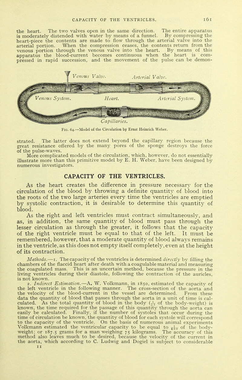 the heart. The two valves open in the same direction. The entire apparatus is moderately distended with water by means of a funnel. By compressing the heart-piece the contents are made to flow through the arterial valve into the arterial portion. When the compression ceases, the contents return from the venous portion through the venous valve into the heart. By means of this apparatus the blood-current becomes continuous when the heart is com- pressed in rapid succession, and the movement of the pulse can be demon- FiG. 64.—Model of the Circulation by Ernst Heinrich Weber. strated. The latter does not extend beyond the capillary region because the great resistance offered by the many pores of the sponge destroys the force of the pulse-waves. More complicated models of the circulation, which, however, do not essentially illustrate more than this primitive model by E. H. Weber, have been designed by numerous investigators. CAPACITY OF THE VENTRICLES. As the heart creates the difference in pressure necessary for the circulation of the blood by throwing a definite quantity of blood into the roots of the two large arteries every time the ventricles are emptied by systolic contraction, it is desirable to determine this quantity of blood. As the right and left ventricles must contract simultaneously, and as, in addition, the same quantity of blood must pass through the lesser circulation as through the greater, it follows that the capacity of the right ventricle must be equal to that of the left. It must be remembered, however, that a moderate quantity of blood always remains in the ventricle, as this does not empty itself completely, even at the height of its contraction. Methods.—i. The capacity of the ventricles is determined directly by filling the chambers of the flaccid heart after death with a coagulable material and measuring the coagulated mass. This is an uncertain method, because the pressure in the living ventricles during their diastole, following the contraction of the auricles, is not known. 2. Indirect Estimation.—A. W. Volkmann, in 1850, estimated the capacity of the left ventricle in the following manner. The cross-section of the aorta and the velocity of the blood-current in the vessel are determined. From these data the quantity of blood that passes through the aorta in a unit of time is cal- culated. As the total quantity of blood in the body of the body-weight) is known, the time required for the passage of this quantity through the aorta can easily be calculated. Finally, if the number of systoles that occur during the time of circulation be known, the quantity of blood for each systole will correspond to the capacity of the ventricle. On the basis of numerotts animal experiments Volkmann estimated the ventricular capacity to be equal to of the body- weight; or 187.5 grams for a man weighing 75 kilograms. The accurac}^ of this method also leaves much to be desired, because the velocity of the current in the aorta, which according to C. Ludwig and Dogiel is subject to considerable 11