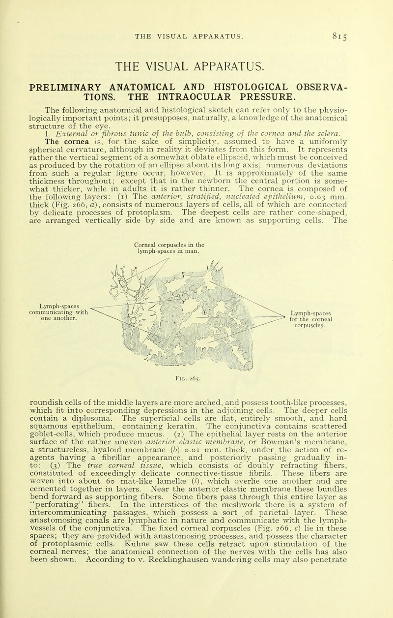 THE VISUAL APPARATUS. PRELIMINARY ANATOMICAL AND HISTOLOGICAL OBSERVA- TIONS. THE INTRAOCULAR PRESSURE. The following anatomical and histological sketch can refer only to the physio- logically important points; it presupposes, naturally, a knowledge of the anatomical structure of the eye. I. External or fibrous tunic of the bulb, consisting of the cornea and the sclera. The cornea is, for the sake of simplicity, assumed to have a uniformly spherical curvature, although in reality it deviates from this form. It represents rather the vertical segment of a somewhat oblate ellipsoid, which must be conceived as produced by the rotation of an ellipse about its long axis; numerous deviations from such a regular figure occur, however. It is approximately of the same thickness throughout; except that in the newborn the central portion is some- what thicker, while in adults it is rather thinner. The cornea is composed of the following layers: (i) The anterior, stratified, nucleated epithelimn, 0.03 mm. thick (Fig. 266, a), consists of numerous layers of cells, all of which are connected by delicate processes of protoplasm. The deepest cells are rather cone-shaped, are arranged vertically side by side and are known as supporting cells. The Corneal corpuscles in the lymph-spaces in man. Lymph-spaces communicating with one another. Lymph-spaces for the corneal corpuscles. Fig. 265. roundish cells of the middle layers are more arched, and possess tooth-like processes, which fit into corresponding depressions in the adjoining cells. The deeper cells contain a diplosoma. The superficial cells are flat, entirely smooth, and hard squamous epithelium, containing keratin. The conjunctiva contains scattered goblet-cells, which produce mucus. (2) The epithelial layer rests on the anterior surface of the rather uneven anterior elastic membrane. or Bowman's membrane, a structureless, hyaloid membrane {b) o.oi mm. thick, under the action of re- agents having a fibrillar appearance, and posteriorly passing gradually in- to: (3) The true corneal tissue, which consists of doubly refracting fibers, constituted of exceedingly delicate connective-tissue fibrils. These fibers are woven into about 60 mat-like lamellse (/), which overlie one another and are cemented together in layers. Near the anterior elastic membrane these bundles bend forward as supporting fibers. Some fibers pass through this entire layer as perforating fibers. In the interstices of the mesh work there is a sj^stem of intercommunicating passages, which possess a sort of parietal layer. These anastomosing canals are lymphatic in nature and communicate with the lymph- vessels of the conjunctiva. The fixed corneal corpuscles (Fig. 266, c) lie in these spaces; they are provided with anastomosing processes, and possess the character of protoplasmic cells. Ktihne saw these cells retract upon stimulation of the corneal nerves; the anatomical connection of the nerves with the cells has also been shown. According to v. Recklinghausen wandering cells may also penetrate