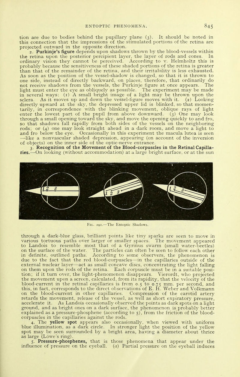 tion are due to bodies behind the pupillary plane (3). It should be noted in this connection that the impressions of the stimulated portions of the retina are proiected outward in the opposite direction. '2. Purkinje's figure depends upon shadows thrown by the blood-vessels within the retina upon the posterior percipient layer, the layer of rods and cones. In ordinary vision they cannot be perceived. According to v. Helmholtz this is probably because the sensitiveness of these shaded portions of the retina is greater than that of the remainder of the retina, and their irritability is less exhausted. As soon as the position of the vessel-shadow is changed, so that it is thrown to one side, instead of directly backward, on places, therefore, that ordinarily do not receive shadows from the vessels, the Purkinje figure at once appears. The light must enter the eye as obliquely as possible. The experiment may be made in several ways: (i) A small bright image of a light may be thrown upon the sclera. As it moves up and down the vessel-figure moves with it. (2) Looking directly upward at the sky, the depressed upper lid is blinked, so that momen- tarily, in correspondence with the blinking movement, oblique rays of light enter the lowest part of the pupil from above downward. (3) One may look through a small opening toward the sky, and move the opening quickly to and fro, so that shadows fall rapidly from both sides of the vessels on the neighboring rods; or (4) one may look straight ahead in a dark room, and move a light to and fro below the eye. Occasionally in this experiment the macula lutea is seen —-like a nonvascular shaded depression, appearing (on account of the inversion of objects) on the inner side of the optic-nerve entrance. 3. Recognition of the Movement of the Blood-corpuscles in the Retinal Caj»lla- ries.—On looking (without accommodation) at a large bright surface, or at the sun Fig. 2gi.—The Entoptic Shadows. through a dark-blue glass, brilliant points like tiny sparks are seen to move in various tortuous paths over larger or smaller spaces. The movement appeared to Landois to resemble most that of a Gyrinus swarm (small water-beetles) on the surface of the water. The particles can often be seen to follow each other in definite, outlined paths. According to some observers, the phenomenon is due to the fact that the red blood-corpuscles—in the capillaries outside of the external nuclear layer—act as small concave discs, concentrating the light falling on them upon the rods of the retina. Each corpuscle must be in a suitable posi- tion; if it turn over, the light-phenomenon disappears. Vierordt, who projected the movement upon a screen, calculated, from its rapidity, that the velocity of the blood-current in the retinal capillaries is from 0.5 to 0.75 mm. per second, and this, in fact, corresponds to the direct observations of E. H. Weber and Volkmann on the blood-current in other capillaries. Compression of the carotid artery retards the movement, release of the vessel, as well as short expiratory pressure, accelerate it. As Landois occasionally observed the points as dark spots on a light ground, and as bright ones on a dark surface, the phenomenon is probably better explained as a pressure-phosphene (according to 5), from the friction of the blood- corpuscles in the capillaries against the rods. 4. The yellow spot appears also occasionally, when viewed with uniform blue illumination, as a dark circle. In stronger light the position of the yellow spot may be seen surrounded by a bright area, having a diameter about thrice as large (Lowe's ring). 5. Pressure-phosphenes, that is those phenomena that appear under the influence of pressure on the eyeball, (a) Partial pressure on the eyeball induces