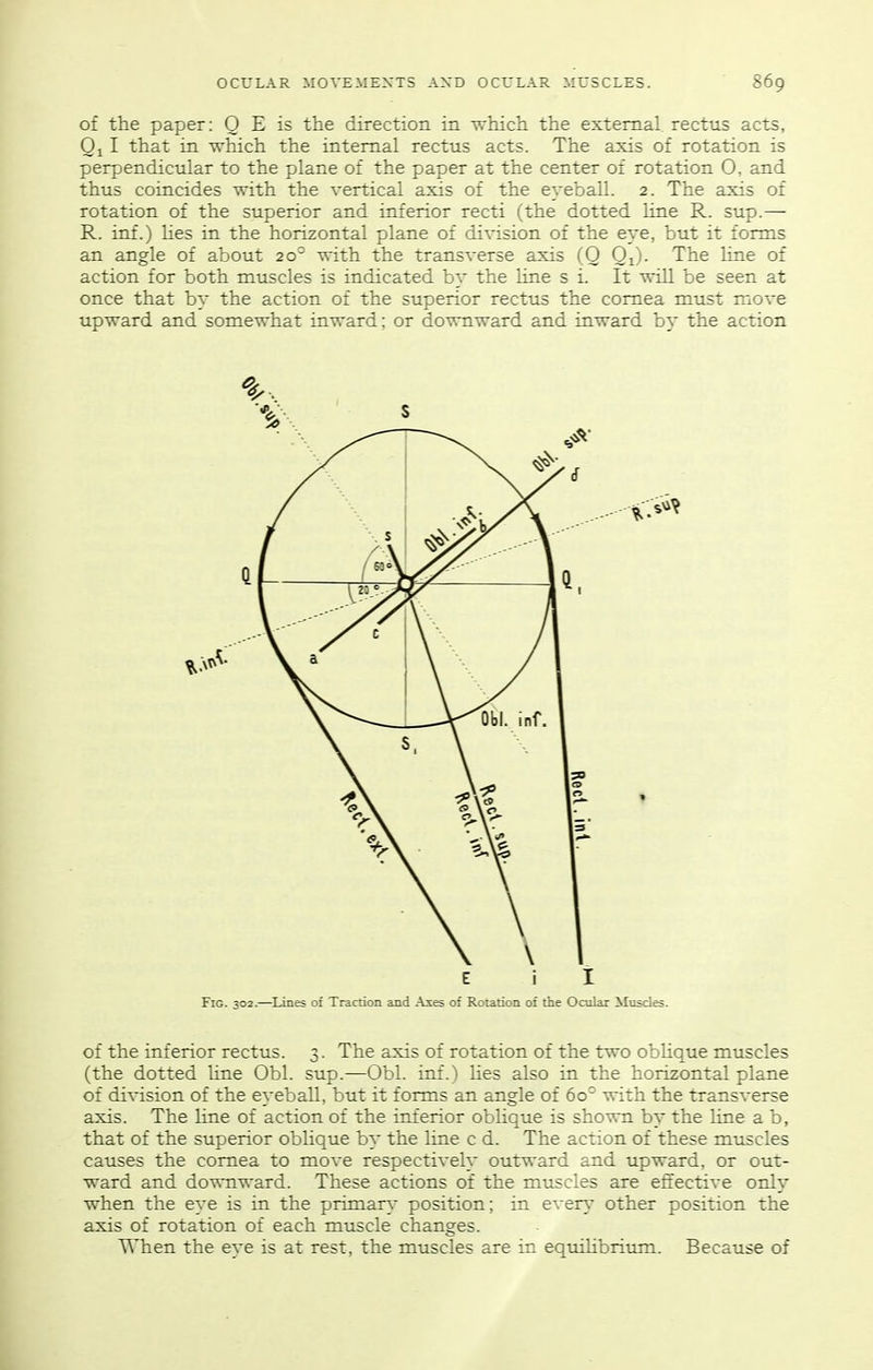 of the paper: Q E is the direction in -^vhich the external rectus acts, Qi I that in which the internal rectus acts. The axis of rotation is perpendicular to the plane of the paper at the center of rotation O, and thus coincides with the vertical axis of the eyeball. 2. The axis of rotation of the superior and inferior recti (the dotted line R. sup.— R. inf.) Hes in the horizontal plane of division of the eye, but it forms an angle of about 20° with the transverse axis (Q Q^). The line of action for both muscles is indicated by the Line s i. It will be seen at once that by the action of the superior rectus the cornea must move upward and somewhat inward; or downward and inward by the action Fig. 302.—Lines of Traction and Axes of Relation of the Ocular Masdes. of the inferior rectus. 3. The axis of rotation of the two oblique muscles (the dotted line Obi. sup.—Obi. inf.) Hes also in the horizontal plane of division of the eyeball, but it forms an angle of 60° with the transverse axis. The line of action of the inferior oblique is shown by the Hne a b, that of the superior oblique by the line c d. The action of these muscles causes the cornea to move respectively outward and upward, or out- ward and downward. These actions of the muscles are effective only when the eye is in the primary' position; in ever\ other position the axis of rotation of each muscle changes. When the eye is at rest, the muscles are in equihbrium. Because of