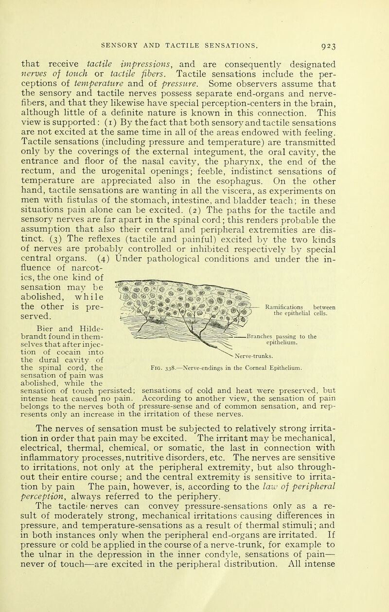 that receive tactile impressions, and are consequently designated nerves of touch or tactile fibers. Tactile sensations include the per- ceptions of temperature and of pressure. Some observers assume that the sensory and tactile nerves possess separate end-organs and nerve- fibers, and that they likewise have special perception-centers in the brain, although little of a definite nature is known in this connection. This view is supported: (i) By the fact that both sensory and tactile sensations are not excited at the same time in all of the areas endowed with feeling. Tactile sensations (including pressure and temperature) are transmitted only by the coverings of the external integument, the oral cavity, the entrance and floor of the nasal cavity, the pharynx, the end of the rectum, and the urogenital openings; feeble, indistinct sensations of temperature are appreciated also in the esophagus. On the other hand, tactile sensations are wanting in all the viscera, as experiments on men with fistulas of the stomach, intestine, and bladder teach; in these situations pain alone can be excited. (2) The paths for the tactile and sensory nerves are far apart in the spinal cord; this renders probable the assumption that also their central and peripheral extremities are dis- tinct. (3) The reflexes (tactile and painful) excited by the two kmds of nerves are probably controlled or inhibited respectively by special central organs. (4) Under pathological conditions and under the in- fluence of narcot- ics, the one kind of sensation may be abolished, while the other is pre- served. Bier and Hilde- brandt found in them- selves that after injec- tion of cocain into the dural cavity of the spinal cord, the sensation of pain was abolished, while the sensation of touch persisted; sensations of cold and heat were preserved, but intense heat caused no pain. According to another view, the sensation of pain belongs to the nerves both of pressure-sense and of common sensation, and rep- resents only an increase in the irritation of these nerves. The nerves of sensation must be subjected to relatively strong irrita- tion in order that pain may be excited. The irritant may be mechanical, electrical, thermal, chemical, or somatic, the last in connection with inflammatory processes,nutritive disorders, etc. The nerves are sensitive to irritations, not only at the peripheral extremity, but also through- out their entire course; and the central extremity is sensitive to irrita- tion by pain The pain, however, is, according to the law of peripheral perception, always referred to the periphery. The tactile- nerves can convey pressure-sensations only as a re- sult of moderately strong, mechanical irritations-causing differences in pressure, and temperature-sensations as a result of thermal stimuli; and in both instances only when the peripheral end-organs are irritated. If pressure or cold be applied in the course of a nerve-trunk, for example to the ulnar in the depression in the inner condyle, sensations of pain— never of touch—are excited in the peripheral distribution. All intense