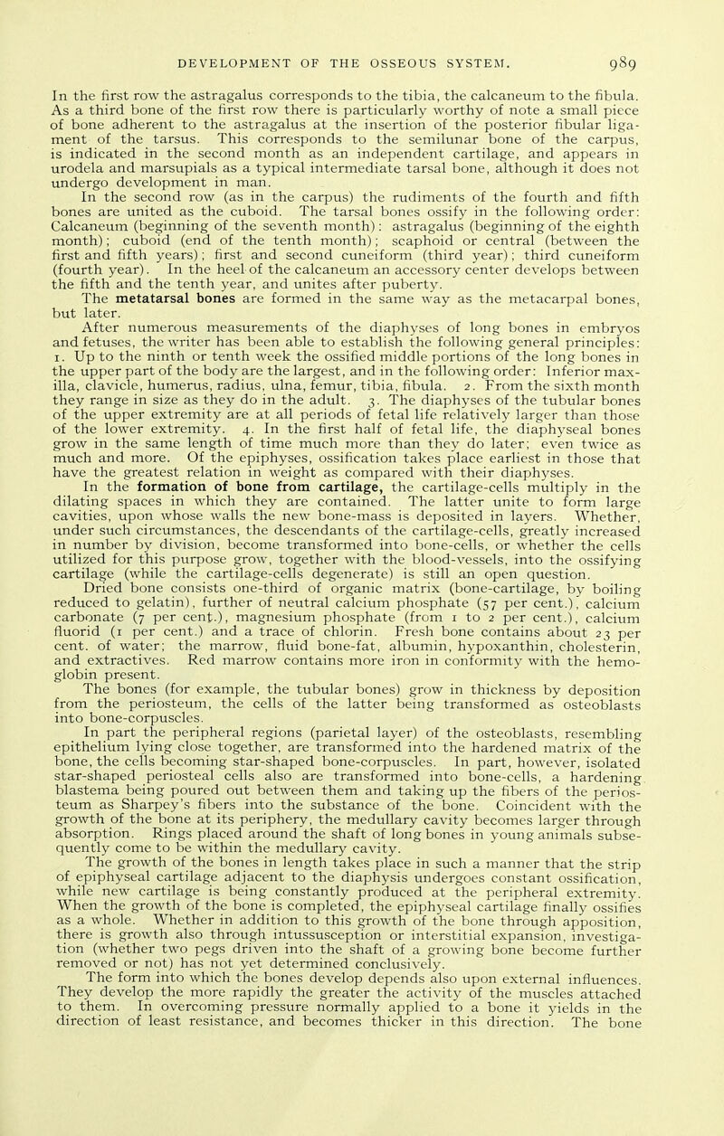 In the first row the astragalus corresponds to the tibia, the calcaneum to the fibula. As a third bone of the first row there is particularly worthy of note a small piece of bone adherent to the astragalus at the insertion of the posterior fibular liga- ment of the tarsus. This corresponds to the semilunar bone of the carpus, is indicated in the second month as an independent cartilage, and appears in urodela and marsupials as a typical intermediate tarsal bone, although it does not undergo development in man. In the second row (as in the carpus) the rudiments of the fourth and fifth bones are united as the cuboid. The tarsal bones ossify in the following order: Calcaneum (beginning of the seventh month): astragalus (beginning of the eighth month); cuboid (end of the tenth month); scaphoid or central (between the first and fifth years); first and second cuneiform (third year); third cuneiform (fourth year). In the heel of the calcaneum an accessory center develops between the fifth and the tenth year, and unites after puberty. The metatarsal bones are formed in the same way as the metacarpal bones, but later. After numerous measurements of the diaphyses of long bones in embryos and fetuses, the writer has been able to establish the following general principles: I. Up to the ninth or tenth week the ossified middle portions of the long bones in the upper part of the body are the largest, and in the following order: Inferior max- illa, clavicle, humerus, radius, ulna, femur, tibia, fibula. 2. From the sixth month they range in size as they do in the adult. 3. The diaphyses of the tubular bones of the upper extremity are at all periods of fetal life relatively larger than those of the lower extremity. 4. In the first half of fetal life, the diaphyseal bones grow in the same length of time much more than they do later; even twice as much and more. Of the epiphyses, ossification takes place earliest in those that have the greatest relation in weight as compared with their diaphyses. In the formation of bone from cartilage, the cartilage-cells multiply in the dilating spaces in which they are contained. The latter unite to form large cavities, upon whose walls the new bone-mass is deposited in layers. Whether, under such circumstances, the descendants of the cartilage-cells, greatly increased in number by division, become transformed into bone-cells, or whether the cells utilized for this purpose grow, together with the blood-vessels, into the ossifying cartilage (while the cartilage-cells degenerate) is still an open question. Dried bone consists one-third of organic matrix (bone-cartilage, by boiling reduced to gelatin), further of neutral calcium phosphate (57 per cent.), calcium carbonate (7 per cent.), magnesium phosphate (from i to 2 per cent.), calcium fluorid (i per cent.) and a trace of chlorin. Fresh bone contains about 23 per cent, of water; the marrow, fluid bone-fat, albumin, hypoxanthin, cholesterin, and extractives. Red marrow contains more iron in conformity with the hemo- globin present. The bones (for example, the tubular bones) grow in thickness by deposition from the periosteum, the cells of the latter being transformed as osteoblasts into bone-corpuscles. In part the peripheral regions (parietal layer) of the osteoblasts, resembling epithelium lying close together, are transformed into the hardened matrix of the bone, the cells becoming star-shaped bone-corpuscles. In part, however, isolated star-shaped periosteal cells also are transformed into bone-cells, a hardening, blastema being poured out between them and taking up the fibers of the perios- teum as Sharpey's fibers into the substance of the bone. Coincident with the growth of the bone at its periphery, the medullary cavity becomes larger through absorption. Rings placed around the shaft of long bones in young animals subse- quently come to be within the medullary cavity. The growth of the bones in length takes place in such a manner that the strip of epiphyseal cartilage adjacent to the diaphysis undergoes constant ossification, while new cartilage is being constantly produced at the peripheral extremity. When the growth of the bone is completed, the epiphyseal cartilage finally ossifies as a whole. Whether in addition to this growth of the bone through apposition, there is growth also through intussusception or interstitial expansion, investiga- tion (whether two pegs driven into the shaft of a growing bone become further removed or not) has not yet determined conclusively. The form into which the bones develop depends also upon external influences. They develop the more rapidly the greater the activity of the muscles attached to them. In overcoming pressure normally applied to a bone it yields in the direction of least resistance, and becomes thicker in this direction. The bone