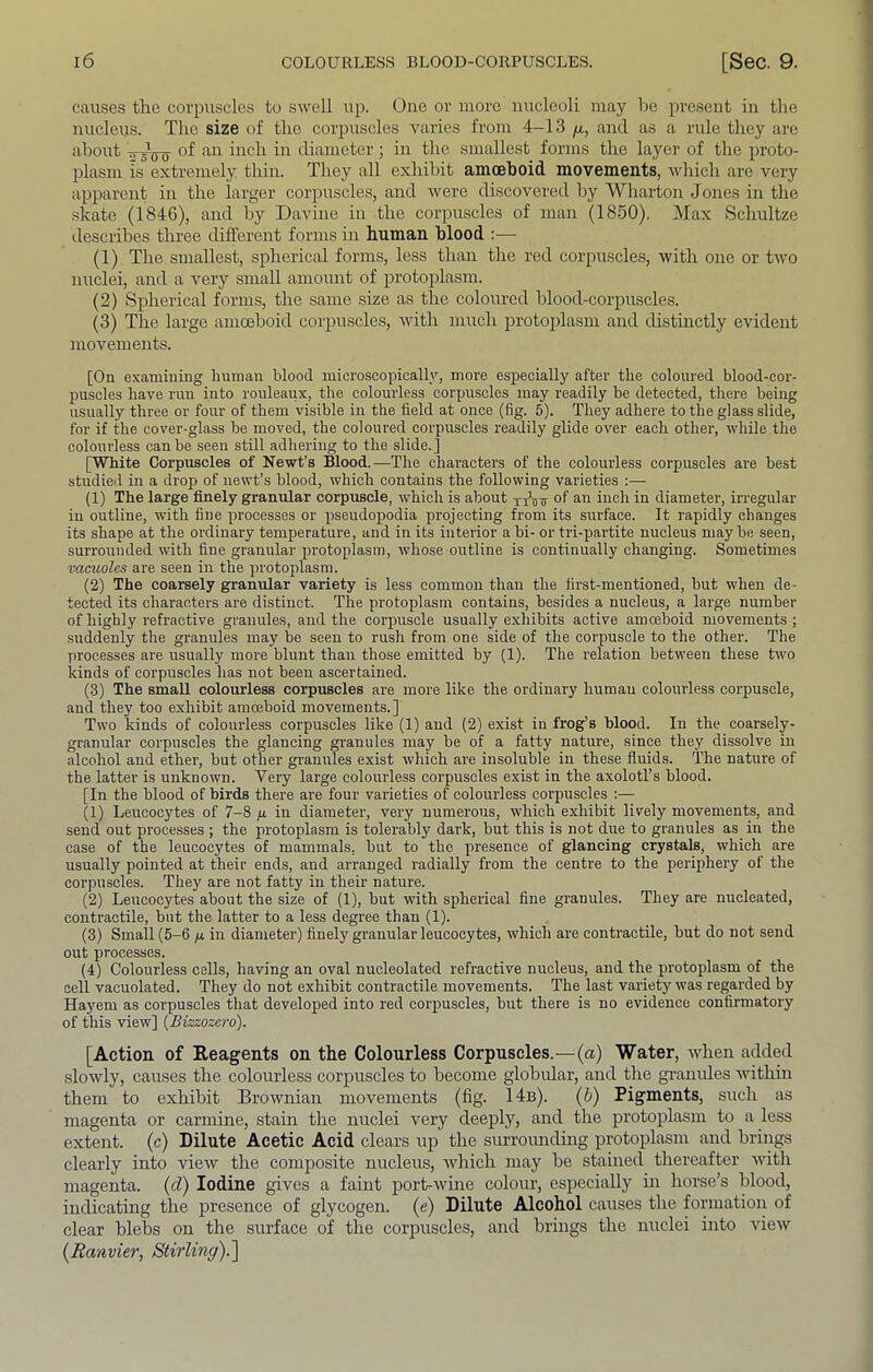causes the corpuscles to swell up. One or more nucleoli may be present in the nucleus. The size of the corpuscles varies from 4-13 p,, and as a rule they are about of an inch in diameter; in the smallest forms the layer of the proto- plasm is extremely thin. They all exliibit amoehoid movements, Avhich are very apparent in the larger corpuscles, and were discovered by Wliarton Jones in the •skate (1846), and by Davine in the cor]mscles of man (1850), Max Scliultze describes three difi'erent forms in human blood :— (1) The smallest, spherical forms, less than the red corpuscles, with one or two nuclei, and a very small amount of protoplasm. (2) Spherical forms, the same size as the coloured blood-corpuscles. (3) The large amoeboid corpuscles, with much protoidasni and distinctly evident movements. [On examining Ininian blood microscopically, more especially after the coloured blood-cor- puscles have run into rouleaux, the colourless corpuscles may readily be detected, there being usually three or four of them visible in the field at once (fig. 5). They adhere to the glass slide, for if the cover-glass be moved, the coloured corpuscles readily glide over each other, while the colourless can be seen still adhering to the slide.] [White Corpuscles of Newt’s Blood.—The characters of the colourless corpuscles are best studied in a drop of newt’s blood, which contains the following varieties ;— (1) The large finely granular corpuscle, which is about tott of an inch in diameter, irregular in outline, with fine processes or pseudopodia projecting from its surface. It rapidly changes its shape at the ordinary temperature, and in its interior a bi- or tri-partite nucleus maybe seen, surrounded with fine granular protoplasm, whose outline is continually changing. Sometimes vacuoles are seen in the protoplasm. (2) The coarsely granular variety is less common than the first-mentioned, but when de- tected its characters are distinct. The protoplasm contains, besides a nucleus, a large number of highly refractive granules, and the corpuscle usually exhibits active amoeboid movements; suddenly the granules may be seen to rush from one side of the corpuscle to the other. The processes are usually more blunt than those emitted by (1). The relation between these two kinds of corpuscles has not been ascertained. (3) The small colourless corpuscles are more like, the ordinary humau colourless corpuscle, and they too exhibit amoeboid movements.] Two kinds of colourless corpuscles like (1) and (2) exist in frog’s blood. In the coarsely- granular corpuscles the glancing granules may be of a fatty nature, since they dissolve in alcohol and ether, but other granules exist which are insoluble in these fiuids. The nature of the latter is unknown. Very large colourless corpuscles exist in the axolotl’s blood. [In the blood of birds there are four varieties of colourless corpuscles :— (1) Leucocytes of 7-8 ii in diameter, very numerous, which exhibit lively movements, and send out processes ; the protoplasm is tolerably dark, but this is not due to granules as in the case of the leucocytes of mammals, but to the presence of glancing crystals, which are usually pointed at their ends, and arranged radially from the centre to the periphery of the corpuscles. They are not fatty in their nature. (2) Leucocytes about the size of (1), but with spherical fine granules. They are nucleated, contractile, but the latter to a less degree than (1). (3) Small (5-6 fx in diameter) finely granular leucocytes, which are contractile, but do not send out processes. (4) Colourless cells, having an oval nucleolated refractive nucleus, and the protoplasm of the cell vacuolated. They do not exhibit contractile movements. The last variety was regarded by Hayem as corpuscles that developed into red corpuscles, but there is no evidence confirmatory of this view] {Bizzozero). [Action of Reagents on the Colourless Corpuscles.—(a) Water, when added slowly, causes the colourless corpuscles to become globidar, and the granules within them to exhibit Brownian movements (fig. 14b). (b) Pigments, sucli as magenta or carmine, stain the nuclei very deeply, and the protoplasm to a less extent, (c) Dilute Acetic Acid clears up the surroimding protoplasm and brings clearly into view the composite nucleus, which may be stained thereafter with magenta, (d) Iodine gives a faint port-wine colour, especially in horse’s blood, indicating the presence of glycogen, (e) Dilute Alcohol causes the formation of clear blebs on the surface of the corpuscles, and brings the nuclei into view (Ranvier, Stirling).]