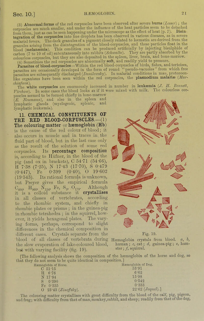 (3) Abnormal forms of the reel corpuscles have been observed after severe bums {Lesser) ; the corpuscles are much smaller, and under the influence of the heat particles seem to bjj detached from them just as can be seen happening under the microscope as the effect of heat (p. 7). Disin- tegration of the corpuscles into line droplets has been observed in various diseases, as in severe malarial fevers. The dark granules of a pigment closely related to hajmatin are derived from the Granules arisiim from the disintegration of the blood-corpuscles, and these particles float in the blood (melanfemia). This condition can be produced artificially by injecting bisulphide of carbon (7 to 10 of oil) subcutaneously into n\hhits (Schivalbe). They are partly absorbed by the colourless corpuscles, but they are also deposited in the spleen, liver, brain, and bone-marrow. (4) Sometimes the red corpuscles are abnormally soft, and readily yield to pressure. Parasites of blood-corpuscles—Within the red blood-corpuscles of birds, fishes, and tortoises, parasites are occasionally developed in the form of round ‘ pseudo-vacuoles from which free parasites ar-e subsequently dischar'ged [Danileiosky). In rrralarial conditions in man, protozoorr- like organisms have been seen withirr the red corpuscles, the plasmodixrm malarise {Mar- T^e white corpuscles are enormously increased in nrrrnber iir lerrkaemia {J. II. Bennett, Virchow). In some cases the blood looks as if it were mixed with milk. The colourless cor- puscles seemed to be formed chiefly in bone-marrow {E. Neii/mann), and also in the spleen and lymphatic glands (myelogenic, splenic, and lymphatic leuksemia). 11. CHEMICAL CONSTITUENTS OF THE RED BLOOD-CORPUSCLES.—(1) The colouring matter or hsemoglohin (Hb) is the cause of the red colour of blood; it also occurs in muscle and in traces in t-he fluid part of blood, but in the last case only as the result of the solution of some red corpuscles. Its percentage composition is, according to Hiifner, in the blood of the pig (and ox in brackets), C 54'71 (54'66), H 7-38 (7-2.5), N 17-43 (17-70), S 0-479 (0-447), Fe 0-399 (0-40), 0 19-602 (19-543). Its rational formula is unknown, but Preyer gives the empirical formula ^(300) ^^960) ^3> ^179- Although it is a colloid substance it crystallises in all classes of vertebrates, according to the rhombic system, and chiefly in rhombic plates or prisms ; in the guinea-pig in rhombic tetrahedra ; in the squirrel, how- ever, it yields hexagonal plates. The vary- ing forms, perhaps, correspond to slight difl'erences in the chemical composition in different cases. Crystals separate from the Fig. 19. blood of all classes of vertebrata during Hemoglobin crystaLs from blood, a, h, tlie slow evaporation of lake-coloured blood, human ; c, cat; d, guinea-pig ; c, ham- but with varying facility (fig. 19). A squirrel. [The following analysis show’s the composition of the hferaoglobin of the horse and dog, so that they do not seem to be quite identical in composition.] Hcemoglobin of Hor.se. lltemnglobln of Dog. C 51-1.5 53-91 11 6-76 6-6-2 N 17-94 15-98 S 0-390 0-642 Fe 0-335 0-333 0 {Zimffsky). 2-l-e,2 {Jaquel).] Tlie colouring matter crystallises with and frog; with difficulty from that of man great difficulty from the blood of the calf, pig, pigeon, , monkey,rabbit, and sheep; readily from that of the dog,