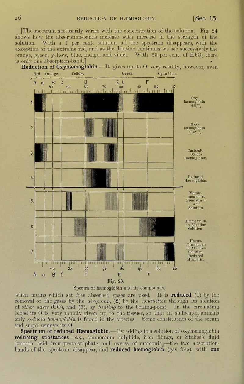 [The spectrum necessarily varies with tire concentration of the solution. Fig. 24 shows hoAV the absorption-hands iircrease with increase in the strength of the solution. With a 1 per cent, solution all the spectrum disappears, with the exception of the extreme red, and as the dilution continues we see .successively the orange, green, yellow, blue, indigo, and violet. With '65 per cent, of Ilb02 tliere is only one absorption-band.] Reduction of Oxyhsemoglobin.—It gives up its O very readily, however, even Oxj'- hoemoglobln 0-8 7. Oxy- litemoglobin 0-18 7. Carbonic Oxide- Ha3moglobin. Reduced Hajmoglobin. Metlise- moglobin. Hoematin in Acid Soiution. Hasnintin in nn Aikalinc Solution. Htemo- chromogen in Alkaline Solution. Reduced Hiematin. Fig. 23. Spectra of hfemoglobin and its compounds. when means which set free absorbed gases are used. It is reduced (1) by the removal of the gases by the air-famj), (2) by the conduction through its solution of other gases (CO), and (3), by heating to the boiling-point. In the circulating blood its 0 is very rapidly given up to the tissues, so that in sutfocatcd animals only reduced hcemoglobin is found in the arteries. Some constituents of the serum and sugar remove its 0. Spectrum of reduced Haemoglobin.—By adding to a solution of oxyhasmoglobin reducing substances—e.y., ammonium sulphide, iron filings, or Stokes’s fluid [tartaric acid, iron jn’oto-sulphate, and excess of ammonia]—the two absorption- bands of the spectrum disappear, and reduced haemoglobin (gas free), with one