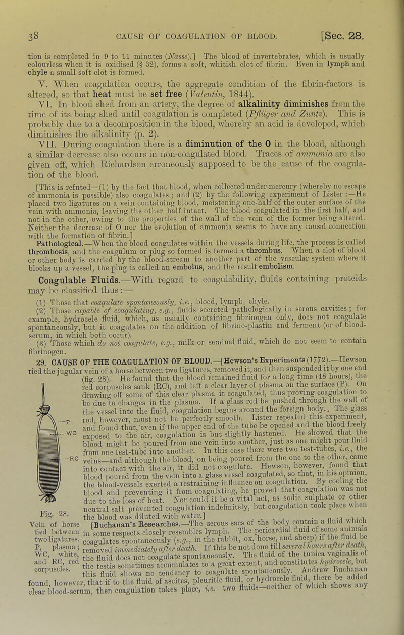 tiou is comiileted in 9 to 11 minutes (N'assc).] The blood of invertebrates, which is u-sually colourless when it is oxidised (§ 32), forms a soft, whitish clot of fibrin. Even in lymph and chyle a small soft clot is formed. AVlien coagulation occurs, tlie aggregate condition of the fihrin-factor.s is altered, so that heat must he set free [Valentin, 1844). A^I. In blood shed from an artery, the degree of alkalinity diminishes from the time of its being shed until coagulation is completed {Pfliicjer and Zuntz). This is probablj^ due to a decomposition in the blood, wdiereby an acid is det^eloped, Avhich dimmishes the alkalinity (p. 2). A^II. During coagulation there is a diminution of the 0 in the blood, although a similar decrease also occurs in non-coagulated blood. Traces of ammonia are also given off, -which Eichardson erroneously supposed to be the cause of the coagula- tion of the blood. [This is refuted—(1) by the fact that blood, when collected under mercury (whereby no escape of ammonia is po.ssible) also coagulates ; and (2) by the following experiment of Lister :—He placed two ligatures on a vein containing blood, moistening one-half of the outer surface of the vein with ammonia, leaving the other half intact. The blood coagulated in the first half, and not in the other, owing to the properties of the wall of the vein of the former being altered. Neither the decrease of 0 nor the evolution of ammonia seems to have any causal connection witli the formation of fibrin.] Pathological.—When the blood coagulates within the vessels during life, the process is called thrombosis, and the coagulum or plug so formed is termed a thrombus. When a clot of blood or other body is carried by the blood-stream to another part of the vascular system where it blocks up a vessel, the plug is called an embolus, and the result embolism. Coagulable Fluids.—ATith regard to coagulability, fluids containmg proteids may be classified thus ;— (1) Those that coagulate spontaneously, i.e., blood, lympb, chyle. (2) Those capahle of coagulating, c.g., fluids secreted pathologically in serous cavities; for example, hydrocele fluid, which, as usually containing fibrinogen only, does not coagulate spontaneously, but it coagulates on the addition of fibrino-plastin and ferment (or of blood- serum, in which both occur). . (3) Those which do not coagulate, e.g., milk or seminal fluid, which do not seem to contain fibrinogen. 29. CAUSE OF THE COAGULATION OF BLOOD.—[Hewson’sExperiments(1772).—Hewson i-iarl flip incmla.r vpin nf a lirtrsp. hfitweeii two liffaturcs, I'emoved it, aiid then suspended it by one end