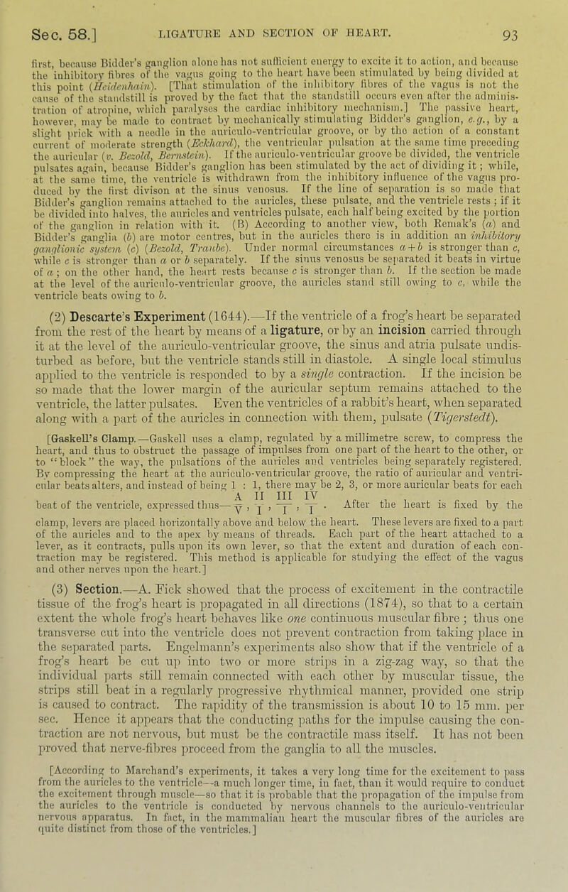 first, because Bidder’s ganglion alone has not sufficient energy to c.xcite it to action, and because the inhibitory filires of the vagus going to the heart have been stimulated by being divided at this point {Ileklcnhain). [That stimulation of the inliibitory fibres of the vagus is not the cause of the standstill is proved by the fact that the standstill occurs even after the adminis- tration of atropine, which paralyses the cardiac inhibitory mechanism.! 'J'he passive heart, however, maybe made to contract by mechanically stimulating Bidder’s ganglion, e.cj., by a slight prick with a needle in the auriculo-ventricular groove, or by the action of a constant current of moderate strength {Ec.khard), the ventricular ]mlsation at the same time preceding the auricular (v. Bezold, Bermtein). If the auriculo-ventricular groove be divided, the ventricle pulsates again, because Bidder’s ganglion has been stimulated by the act of dividing it; while, at the same time, the ventricle is withdrawn from the inhibitory influence of the vagus pro- duced by the first divison at the sinus venosus. If the line of separation is so made that Bidder’s ganglion remains attached to the auricles, these pulsate, and the ventricle rests ; if it be divided iiRo halves, the auricles and ventricles pulsate, each half being e.xcited by the portion of the ganglion in relation with it. (B) According to another view, both Remak’s (a) and Bidder’s ganglia (h) are motor centres, but in the auricles there is in addition an inhibitory ganglionic sifstem. (c) {Bezold, Tmiibc). Under normal circumstances a + b is stronger than c, while c is stronger than a or b separately. If the sinus venosus be separated it beats in virtue of a ; on the other hand, the heart rests because c is stronger than b. If the section be made at the level of the auriculo-venti'icnlar groove, the auricles stand still owing to c, while the ventricle beats owing to b. (2) Descarte’s Experiment (1644).—If the ventricle of a frog’s heart he separated from tlie rest of the heart by means of a ligature, or liy an incision carried through it at the level of the anricnlo-ventricnlar groove, the sinus and atria pulsate undis- turbed as before, but the ventricle stands still in diastole. A single local stimulus applied to the ventricle is responded to by a smgle contraction. If the incision be so made that the lower margin of the auricular septum remains attached to the ventricle, the latter pulsates. Even the ventricles of a rabbit’s heart, when separated along with a part of the auricles in connection with them, pulsate (Tigerstedt). [GaskeU’s Clamp.—Gaskell uses a clamp, regulated by a millimetre screw, to compress the heart, and thus to obstruct the passage of impulses from one part of the heart to the other, or to “block” the way, the pulsations of the auricles and ventricles being separately registered. By compressing the heart at the auriculo-ventricular groove, the ratio of auricular and ventri- cular beats alters, and instead of being 1 : 1, there may be 2, 3, or more auricular beats for each A II III IV beat of the ventricle, expressed thus—y , j- , -j^ . ^ . After the heart is fixed by the clamp, levers are placed horizontally above and below the heart. These levers are fixed to a part of the auricles and to the apex by means of threads. Each part of the heart attached to a lever, as it contracts, pulls upon its own lever, so that the extent and duration of each con- traction may be registered. This method is applicable for studying the effect of the vagus and other nerves upon the heart.] (3) Section.—A. Eick showed that the process of excitement in the contractile tissue of the frog’s heart is propagated in aU directions (1874), so that to a certain extent the whole frog’s heart behaves like one continuous muscular fibre; thus one transverse cut into the ventricle does not prevent contraction from taking place in the separated parts. Engehnann’s experiments also show that if the ventricle of a frog’s heart be cut u]> into two or more strijis in a zig-zag way, so that the individual parts still remain connected with each other by muscular tissue, the strips still beat in a regularly ju’ogressive rhythmical manner, provided one strip is caused to contract. The rapidity of the transmission is about 10 to 15 mm. per sec. Hence it appears that the conducting paths for the impulse causing the con- traction are not nervous, but must be the contractile mass itself. It has not been proved that nerve-fdires proceed from the ganglia to all the muscles. [According to Marchand’s experiments, it takes a very long time for tlie excitement to jiass from the auricles to the ventricle—a much longer time, in fact, than it would require to conduct the e,xcitpment through muscle—so that it is ]irobable tliat the propagation of the impulse from the auricles to the ventricle is conducted lij' nervous channels to the auriculo-ventricular nervous apparatus. In fact, in the mammalian heart the muscular fibres of the auricles are quite distinct from those of the ventricles.]