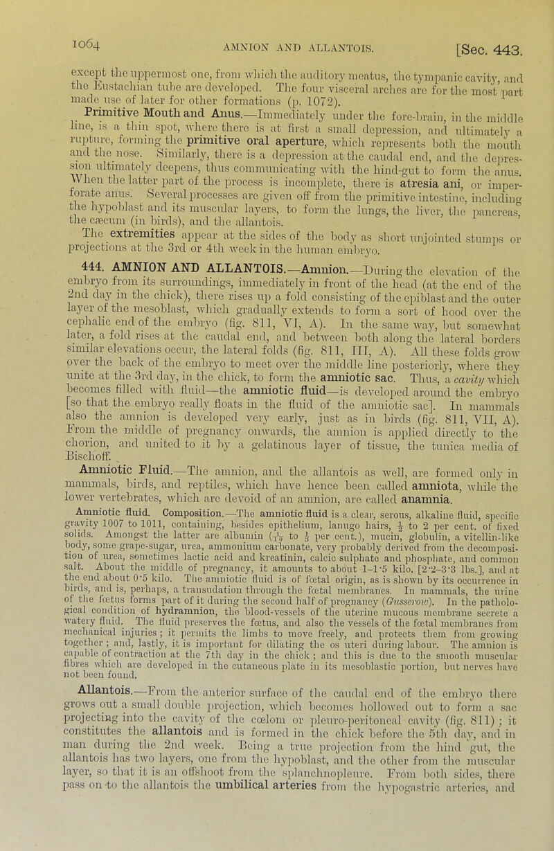 except the uppermost one, from wliicli the auditory meatus, tlie tympanic cavity, and the Eustacliian tidie are developed. Tlic four visceral arches are for the most’part made use of later for other formations (p. 1072). Prmiitive Mouth and Anus.—Immediately under tlic fore-hrain, in the middle line, is a^ thin spot, wliero there is at first a small depression, and ultimately a ruiiturc, forming the primitive oral aperture, which rejiresents both tlie mouth and the nose. Similarly, there is a depre.ssioii at the caudal end, and the depres- sion ultimately deepen.s, thus communicating with the hind-gut to form the anus. hen the latter part of the process is incomplete, there is atresia ani, or imper- foratc anus. Several processes are given off from the jmimitive intestine, includin the lij^pohla.st and its muscular layers, to form the lungs, the liver, tlic pancreas^ tlie csecum (in birds), and the allantois. ’ pie extiemities appear at the sides of the body as short unjointed stumps or projections at the 3rd or 4th week in the human embryo. 444. AMNION AND ALLANTOIS.—Amnion.—During the elevation of the embryo from its surroundings, immediately in front of the head (at the end of the 2nd day in the chick), there rises up a fold con.sisting of the epiblastand the outer layer of the mesoblast, which gradually extends to form a sort of hood over the cephalic end of the embryo (fig. 811, VI, A). In the same way, but somewhat later, a fold rises at the caudal end, and between both along the lateral borders .similai elevations occur, the lateral folds (fig. 811, III, A). All the.sc fold.s grow over the back of the embryo to meet over the middle line posteriorly, where they unite at the 3rd day, in the chick, to form the amniotic sac. Thu-s, a carf(y which becomes filled with fluid—the anmiotic fluid—is developed around the embryo [so that the embryo really floats in the fluid of the amniotic sac]. In mammals also the amnion is developed very early, just as in birds (fig. 811, VII, A). Froin the middle of pregnancy omvards, the amnion is applied directly to the chorion, and united to it by a gelatinous layer of tissue, the tunica media of Bischoff. _ Anmiotic Fluid.—The amnion, and the allantois as Avell, are formed only in mammals, birds, and reptiles, which have hence been callecl amniota, whilethe lower vertebrates, which arc devoid of an amnion, are called anamnia. Amniotic^fluid. Composition.—The amniotic fluid is a clear, serou.s, alkaline fluid, specific giuvity 1007 to 1011, containing, besides epithelium, lanugo hairs, J to 2 per cent, of fi.ved solids. Amongst the latter are albumin (A to J per cent.), mucin, globulin, a vitellin-likc body, some grape-sugar, urea, ammonium carbonate, very probably derived from the decomposi- tion of urea, sometimes lactic acid and kreatinin, calcic suljihate and phosphate, and common salt. About the middle of pregnancy, it amounts to about 1-1-5 kilo. [2-2-3'3 lbs.], and at the end about 0'5 kilo. The amniotic fluid is of fcetal origin, as is shown by its occurrence in birds, and is, perhaps, a transudation through the fcetal membranes. In mammals, the urine of the fcctus forms part of it during the second half of pregnancy (Gusseroiv). In the patholo- gical condition of hydramnion, thn blood-vessels of the uterine mucous membrane secrete a watery fluid. The fluid preserves the feetus, and also the vessels of the foetal membranes fioni mechanical injuries ; it permits the limbs to move freely, and protects them from growing together ; and, lastly, it is important for dilating the os uteri during labour. The amnion is capable of contraction at the 7th day in the chick ; and this is clue to the smooth muscular fibres which are developed in the cutaneous plate in its mesoblastic portion, but nerves have not been found. AUantois.—From tlie anterior sm-faco of tlio caudal end of the embryo tliere grows out a small doulile projection, which becomes liollowed out to form a sac projecting into the cavity of the coelom or ])leuro-peritoneal cavity (fig. 811) ; it constitutes the allantois and is formed in the chick before the 5th day, and in man during the 2nd Aveek. Being a true ^n-ojection from the liind gut, the allantois has two layers, one from the hypoblast, and the other from the muscular layer, so that it is an ollshoot from the splanchnopleiirc. From both sides, tliero pass on-to the allantois the umbilical arteries from tbe hypogastric arteries, and