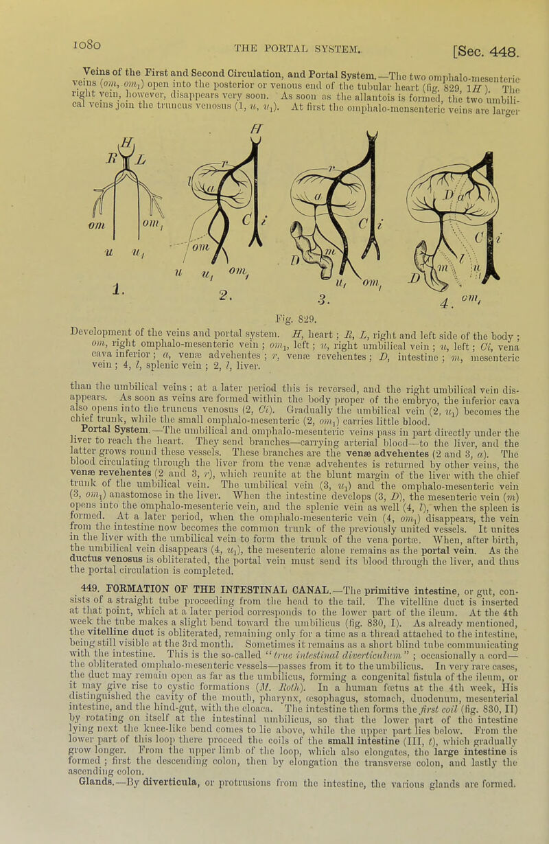 THE PORTAL SYSTEM. [Sec. 448. Veins of the First and Second Circulation, and Portal System.—The two oinplialo-mesenteric %eins {om, open into the posterior or venous end of the tubular heart (Ci 829 17/ ) The riglit vein, however, disappears very soon. As soon ns the allantois is forineTl, the two uinbili- ca veins join the tniiicus vonosns (1, u, v-^). At first the oniphalo-niensenteric veins are larer Fig. 829. Development of the veins and portal system. H, heart; R, L, right and left side of the body ; om, right omphalo-mesenteric vein; om^, left; u, right umbilical vein ; u, left; Ci, vena cava inferior; a, venre advehentes ; r, veme revehentes ; 7), intestine ; m, mesenteric vein ; 4, I, splenic vein ; 2, 7, liver. than the umbilical veins ; at a later period this is reversed, and the right umbilical vein dis- appeais. As soon as veins arc fonned within the body ]iroper of the embryo, the inferior cava also opens into the trancus venosus (2, Gi). Gradually the umbilical vein (2, u~) becomes the chief trunk, while the small omphalo-mesenteric (2, om{) carries little blood. Portal System. Ihe umbilical and omphalo-mesenteric veins pass in part directly under the liver to reach the heart. They send branches—carrying arterial blood—to the liver, and the latter grows round these vessels. These branches are the venae advehentes (2 and 3, a). The blood circulating through the liver from the vente advehentes is returned by otber veins, the venae revehentes (2 and 3, ?■), which reunite at the blunt margin of the liver with the chief trunk of the umbilical vein. The umbilical vein (3, and the omphalo-mesenteric vein (3, OHij) anastomose in the liver. When the intestine develops (3, D), the mesenteric vein (m) opens into the omphalo-mesenteric vein, and the splenic vein as well (4, 7), when the spleen is formed. At a later period, when the omphalo-mesenteric vein (4, onij) disappears, the vein from the intestine now becomes the common trunk of the previously united vessels. It unites in the liver with the umbilical vein to form the trunk of the vena portfe. When, after birth, the umbilical vein disappears (4, itj), the mesenteric alone remains as the portal vein. As the ductus venosus is obliterated, the portal vein must send its blood through the liver, and thus the portal circulation is completed. 449. FORMATION OF THE INTESTINAL CANAL.—The piimitive intestine, or gut, con- sists of a straight tube proceeding from the head to the tail. The vitelline duct is inserted at that point, which at a later period corresponds to the lower part of the ileum. At tlie 4th week the tube makes a slight bend toward the umbilicus (fig. 830, I). As already mentioned, the viteUine duct is obliterated, remaining only for a time as a thread attached to the intestine, being still visible at the 3rd month. Sometimes it remains as a short blind tube communicating with the intestine. This is the so-called “true intestinal diverticulum ; occasionally a cord— the obliterated omphalo-mesenteric vessels—jiasses from it to the umbilicus. In very rare cases, the duct may remain open as far as the umbilicu.s, forming a congenital fistula of the ileum, or it may give rise to cystic formations {M. Roth). In a human foetus at the 4tli week. His distinguished the cavity of the mouth, pharyn.v, resophagus, stomach, duodenum, mesenterial intestine, and the hind-gut, with the cloaca. The intestine then forms theyfrst coil (fig. 830, II) by rotating on itself at the intestinal umbilicu.s, so that the lower part of the intestine lying next the knee-liko bend comes to lie above, while the upper ])art lies below. From the lower part ol this looj) there proceed the coils of the small intestine (III, t), which graduallj' grow longer. From the upper limb of the loop, which also elongates, the large intestine is formed ; first the descending colon, then bj' elongation the transver.se colon, and lastl3' the ascending colon. Glands.—By diverticula, or protrusions from the intestine, the various glands arc formed.