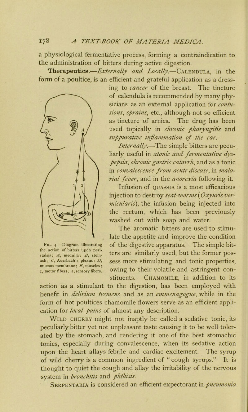 a physiological fermentative process, forming a contraindication to the administration of bitters during active digestion. Therapeutics.—Externally and Locally.—Calendula, in the form of a poultice, is an efficient and grateful application as a dress- ing to cancer of the breast. The tincture of calendula is recommended by many phy- sicians as an external application for contu- sions, sprains, etc., although not so efficient as tincture of arnica. The drug has been used topically in chronic pharyngitis and suppurative inflammation of the ear. Internally.—The simple bitters are pecu- liarly useful in atonic and fermentative dys- pepsia, chronic gastric catarrh, and as a tonic in convalescence from acute disease, in mala- rial fever, and in the anorexia following it. Infusion of quassia is a most efficacious injection to destroy seat-worms (Oxyuris ver- micular is), the infusion being injected into the rectum, which has been previously washed out with soap and water. The aromatic bitters are used to stimu- late the appetite and improve the condition Fig. 4.—Diagram illustrating of the digestive apparatus. The simple bit- staisis: a, medulla; b, stom- ters are similarly used, but the former pos- ach; c, Auerbach’s plexus; d, sess m0re stimulating and tonic properties, mucous membrane; E, muscles; . . I, motor fibers; 2, sensory fibers, owing to their volatile and astringent con- stituents. Chamomile, in addition to its action as a stimulant to the digestion, has been employed with benefit in delirium tremens and as an emmenagogue, while in the form of hot poultices chamomile flowers serve as an efficient appli- cation for local pains of almost any description. Wild cherry might not inaptly be called a sedative tonic, its peculiarly bitter yet not unpleasant taste causing it to be well toler- ated by the stomach, and rendering it one of the best stomachic tonics, especially during convalescence, when its sedative action upon the heart allays febrile and cardiac excitement. The syrup of wild cherry is a common ingredient of “ cough syrups.” It is thought to quiet the cough and allay the irritability of the nervous system in bronchitis and phthisis. Serpentaria is considered an efficient expectorant in pneumonia