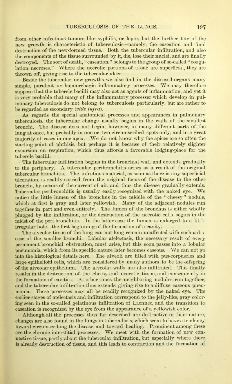 from other infectious tumors like syphilis, or lepra, hut the further fate of the new growth is characteristic of tuberculosis—namely, the caseation and final destruction of the new-formed tissue. Both the tubercular infiltration, and also the components of the tissue surrounded by it, die, lose their nuclei, and are finally destroyed. The sort of death, “ caseation,” belongs to the group of so-called “ coagu- lation necroses.” Where the necrotic portions of tissue are superficial, they are thrown off, giving rise to the tubercular ulcer. Beside the tubercular new growths we also find in the diseased organs many simple, purulent or haemorrhagic inflammatory processes. We may therefore suppose that the tubercle bacilli may also act as agents of inflammation, and yet it is very probable that many of the inflammatory processes which develop in pul- monary tuberculosis do not belong to tuberculosis particularly, hut are rather to be regarded as secondary (vide infra). As regards the special anatomical processes and appearances in pulmonary tuberculosis, the tubercular change usually begins in the walls of the smallest bronchi. The disease does not begin, however, in many different parts of the lung at once, but probably in one or two circumscribed spots only, and hi a great majority of cases in one apex. We do not know why the apices are so often the starting-point of phthisis, but perhaps it is because of their relatively slighter excursion on respiration, which thus affords a favorable lodging-place for the tubercle bacilli. The tubercular infiltration begins in the bronchial wall and extends gradually to the periphery. A tubercular peribronchitis arises as a result of the original tubercular bronchitis. The infectious material, as soon as there is any superficial ulceration, is readily carried from the original focus of the disease to the other bronchi, by means of the current of air, and thus the disease gradually extends. Tubercular peribronchitis is usually easily recognized with the naked eye. We notice the little lumen of the bronchus in the middle of the “cheesy” nodule, which at first is gray and later yellowish. Many of the adjacent nodules run together in part and even entirely. The lumen of the bronchus is either wholly plugged by the infiltration, or the destruction of the necrotic cells begins in the midst of the peri-broncliitis. In the latter case the lumen is enlarged to a littl a irregular hole—the first beginning of the formation of a cavity. The alveolar tissue of the lung can not long remain unaffected with such a dis- ease of the smaller bronchi. Lobular atelectasis, the necessary result of every permanent bronchial obstruction, must arise, but this soon passes into a lobular pneumonia, which from its specific nature later becomes caseous. We can not go into the histological details here. The alveoli are filled with pus-corpuscles and large epithelioid cells, which are considered by many authors to be the offspring of the alveolar epithelium. The alveolar walls are also infiltrated. This finally results in the destruction of the cheesy and necrotic tissue, and consequently in the formation of cavities. At other times the neighboring nodules run together, and the tubercular infiltration thus extends, giving rise to a diffuse caseous pneu- monia. These processes may all be readily recognized by the naked eye. The earlier stages of atelectasis and infiltration correspond to the jelly-like, gray color- ing seen in the so-called gelatinous infiltration of Laennec, and the transition to caseation is recognized by the eye from the appearance of a yellowish color. Although all the processes thus far described are destructive in their nature, changes are also found in the lungs in tuberculosis, which seem to have a tendency toward circumscribing the disease and toward healing. Prominent among these are the chronic interstitial processes. We meet with the formation of new con- nective tissue, partly about the tubercular infiltration, but especially where there is already destruction of tissue, and this leads to contraction and the formation of