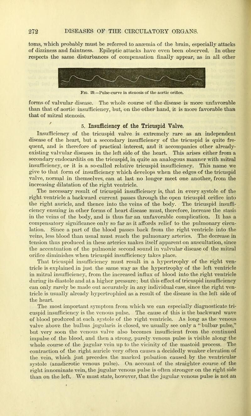 toms, ■which probably must he referred to anaemia of the brain, especially attacks of dizziness and faintness. Epileptic attacks have even been observed. In other respects the same disturbances of compensation finally appear, as in all other Fig. 29.—Pulse-curve in stenosis of the aortic orifice. forms of valvular disease. The whole course of the disease is more unfavorable than that of aortic insufficiency, but, on the other hand, it is more favorable than that of mitral stenosis. 5. Insufficiency of the Tricuspid Valve. Insufficiency of the tricuspid valve is extremely rare as an independent disease of the heart, but a secondary insufficiency of the tricuspid is quite fre- quent, and is therefore of practical interest, and it accompanies other already- existing valvular diseases in the left side of the heart. This arises either from a secondary endocarditis on the tricuspid, in quite an analogous manner with mitral insufficiency, or it is a so-called relative tricuspid insufficiency. This name we give to that form of insufficiency which develops when the edges of the tricuspid valve, normal in themselves, can at last no longer meet one another, from the increasing dilatation of the right ventricle. The necessary result of tricuspid insufficiency is, that in every systole of the right ventricle a backward current passes through the open tricuspid orifice into the right auricle, and thence into the veins of the body. The tricuspid insuffi- ciency ensuing in other forms of heart disease must, therefore, increase the stasis in the veins of the body, and is thus far an unfavorable complication. It has a compensatory significance only so far as it affords relief to the pulmonary circu- lation. Since a part of the blood passes back from the right ventricle into the veins, less blood than usual must reach the pulmonary arteries. The decrease in tension thus produced in these arteries makes itself apparent on auscultation, since the accentuation of the pulmonic second sound in valvular disease of the mitral orifice diminishes when tricuspid insufficiency takes place. That tricuspid insufficiency must result in a hypertrophy of the right ven- tricle is explained in just the same way as the hypertrophy of the left ventricle in mitral insufficiency, from the increased influx of blood into the right ventricle during its diastole and at a higher pressure; but this effect of tricuspid insufficiency can only rarely be made out accurately in any individual case, since the right ven- tricle is usually already hypertrophied as a result of the disease in the left side of the heart. The most important symptom from which we can especially diagnosticate tri- cuspid insufficiency is the venous pulse. The cause of this is the backward wave of blood produced at each systole of the right ventricle. As long as the venous valve above the bulbus jugularis is closed, we usually see only a “ bulbar pulse,” but very soon the venous valve also becomes insufficient from the continued impulse of the blood, and then a strong, purely venous pulse is visible along the whole course of the jugular vein up to the vicinity of the mastoid process. The contraction of the right auricle very often causes a decidedly weaker elevation of the vein, which just precedes the marked pulsation caused by the ventricular systole (anadicrotic venous pulse). On account of the straighter course of the right innominate vein, the jugular venous pulse is often stronger on the right side than on the left. We must state, however, that the jugular venous pulse is not an