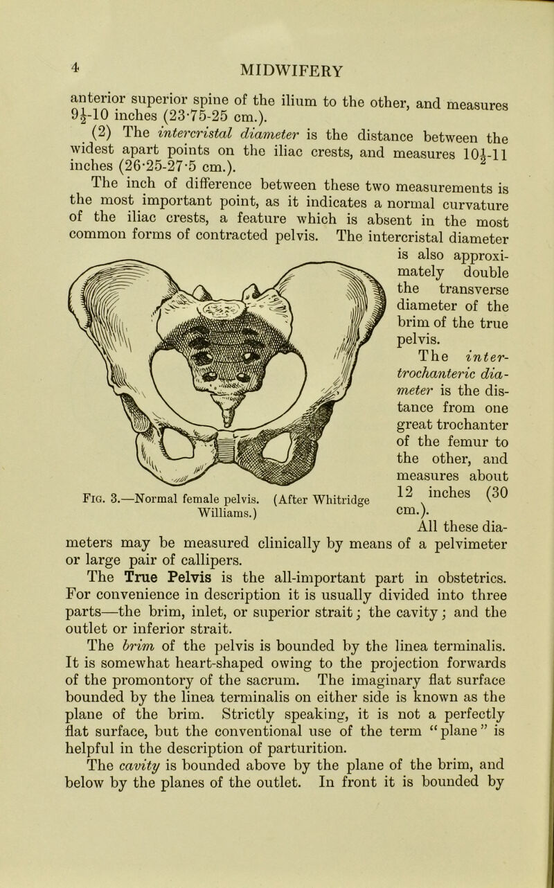 anterior superior spine of the ilium to the other, and measures 9J-10 inches (23-75-25 cm.). (2) The intercristal diameter is the distance between the widest apart points on the iliac crests, and measures 10-1-11 inches (26-25-27-5 cm.). 2 The inch of difference between these two measurements is the most important point, as it indicates a normal curvature of the iliac crests, a feature which is absent in the most common forms of contracted pelvis. The intercristal diameter is also approxi- mately double the transverse diameter of the brim of the true pelvis. The inter- trochanteric dia- meter is the dis- tance from one great trochanter of the femur to the other, and measures about 12 inches (30 cm.). All these dia- meters may be measured clinically by means of a pelvimeter or large pair of callipers. The True Pelvis is the all-important part in obstetrics. For convenience in description it is usually divided into three parts—the brim, inlet, or superior strait; the cavity; and the outlet or inferior strait. The brim of the pelvis is bounded by the linea terminalis. It is somewhat heart-shaped owing to the projection forwards of the promontory of the sacrum. The imaginary flat surface bounded by the linea terminalis on either side is known as the plane of the brim. Strictly speaking, it is not a perfectly flat surface, but the conventional use of the term “ plane ” is helpful in the description of parturition. The cavity is bounded above by the plane of the brim, and below by the planes of the outlet. In front it is bounded by Fig. 3.—Normal female pelvis. (After Whitridge Williams.)