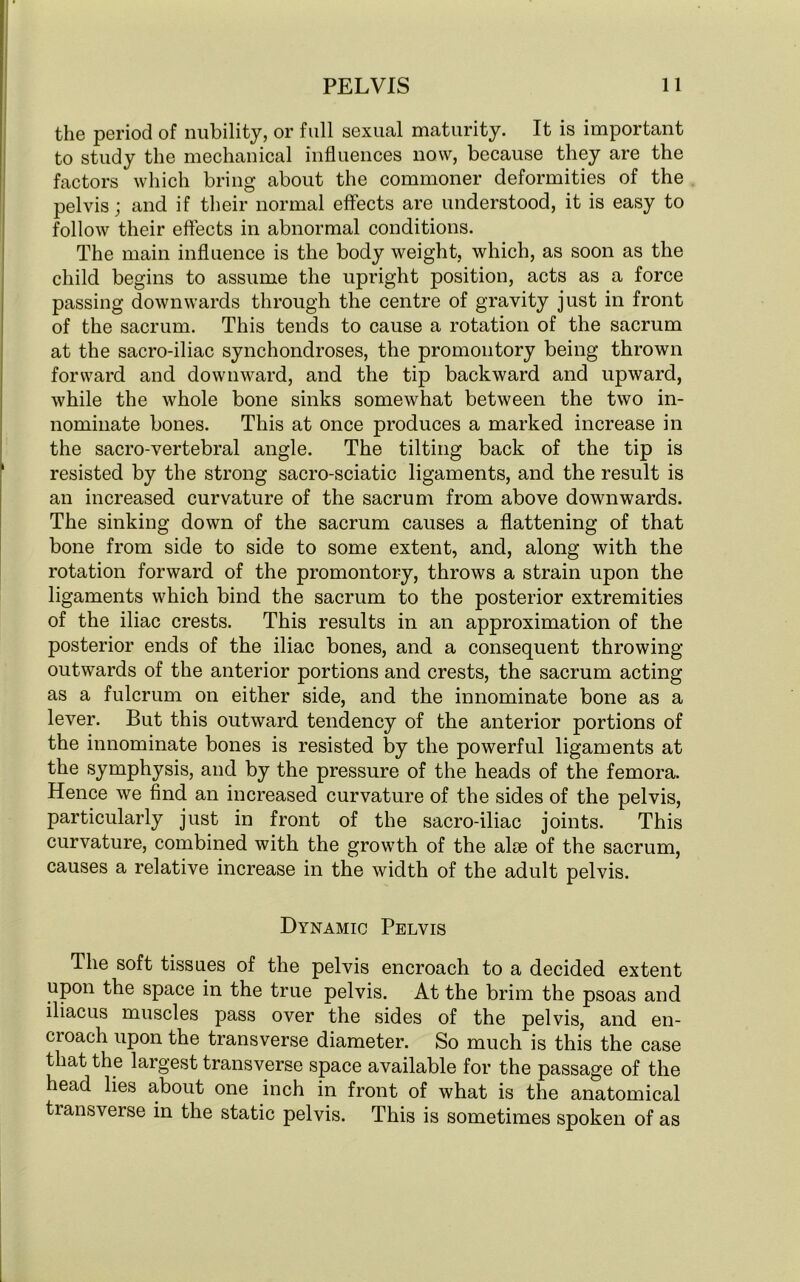 the period of nubility, or full sexual maturity. It is important to study the mechanical influences now, because they are the factors which bring about the commoner deformities of the pelvis; and if their normal effects are understood, it is easy to follow their effects in abnormal conditions. The main influence is the body weight, which, as soon as the child begins to assume the upright position, acts as a force passing downwards through the centre of gravity just in front of the sacrum. This tends to cause a rotation of the sacrum at the sacro-iliac synchondroses, the promontory being thrown forward and downward, and the tip backward and upward, while the whole bone sinks somewhat between the two in- nominate bones. This at once produces a marked increase in the sacro-vertebral angle. The tilting back of the tip is resisted by the strong sacro-sciatic ligaments, and the result is an increased curvature of the sacrum from above downwards. The sinking down of the sacrum causes a flattening of that bone from side to side to some extent, and, along with the rotation forward of the promontory, throws a strain upon the ligaments which bind the sacrum to the posterior extremities of the iliac crests. This results in an approximation of the posterior ends of the iliac bones, and a consequent throwing outwards of the anterior portions and crests, the sacrum acting as a fulcrum on either side, and the innominate bone as a lever. But this outward tendency of the anterior portions of the innominate bones is resisted by the powerful ligaments at the symphysis, and by the pressure of the heads of the femora. Hence we find an increased curvature of the sides of the pelvis, particularly just in front of the sacro-iliac joints. This curvature, combined with the growth of the alee of the sacrum, causes a relative increase in the width of the adult pelvis. Dynamic Pelvis The soft tissues of the pelvis encroach to a decided extent upon the space in the true pelvis. At the brim the psoas and iliacus muscles pass over the sides of the pelvis, and en- croach upon the transverse diameter. So much is this the case that the largest transverse space available for the passage of the head lies about one inch in front of what is the anatomical transverse in the static pelvis. This is sometimes spoken of as