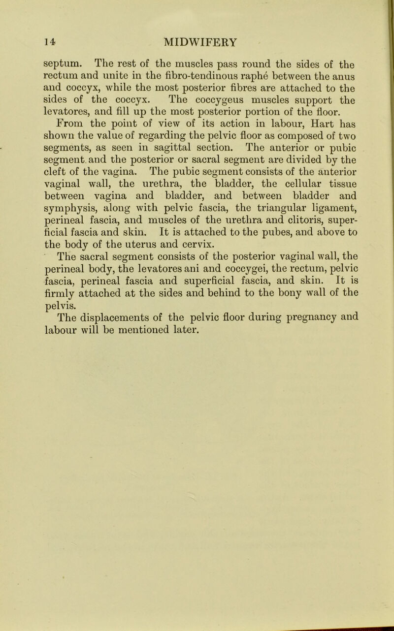 septum. The rest of the muscles pass round the sides of the rectum and unite in the fibro-tendinous raphe between the anus and coccyx, while the most posterior fibres are attached to the sides of the coccyx. The coccygeus muscles support the levatores, and fill up the most posterior portion of the floor. From the point of view of its action in labour, Hart has shown the value of regarding the pelvic floor as composed of two segments, as seen in sagittal section. The anterior or pubic segment, and the posterior or sacral segment are divided by the cleft of the vagina. The pubic segment consists of the anterior vaginal wall, the urethra, the bladder, the cellular tissue between vagina and bladder, and between bladder and symphysis, along with pelvic fascia, the triangular ligament, perineal fascia, and muscles of the urethra and clitoris, super- ficial fascia and skin. It is attached to the pubes, and above to the body of the uterus and cervix. The sacral segment consists of the posterior vaginal wall, the perineal body, the levatores ani and coccygei, the rectum, pelvic fascia, perineal fascia and superficial fascia, and skin. It is firmly attached at the sides and behind to the bony wall of the pelvis. The displacements of the pelvic floor during pregnancy and labour will be mentioned later.