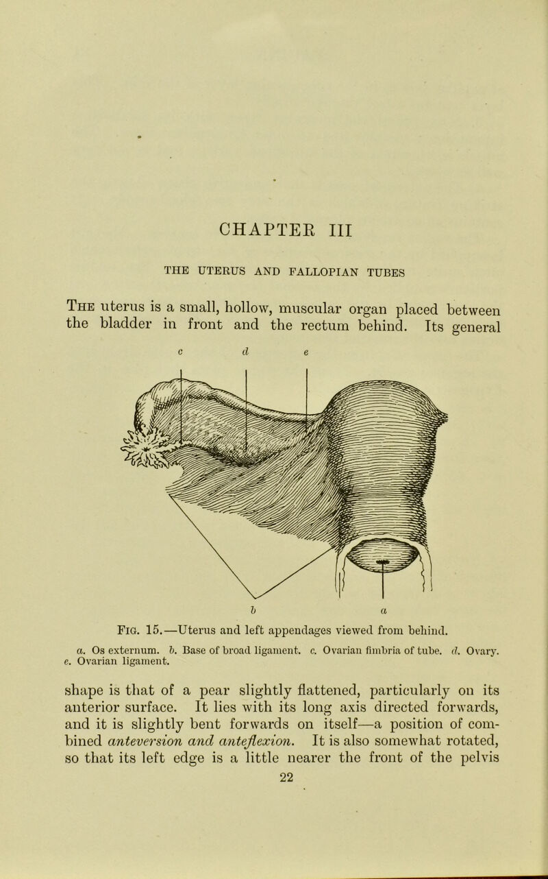 CHAPTER III THE UTERUS AND FALLOPIAN TUBES The uterus is a small, hollow, muscular organ placed between the bladder in front and the rectum behind. Its general c d e Fig. 15.—Uterus and left appendages viewed from behind. a. Os externum, b. Base of broad ligament, c. Ovarian fimbria of tube. d. Ovary, e. Ovarian ligament. shape is that of a pear slightly flattened, particularly on its anterior surface. It lies with its long axis directed forwards, and it is slightly bent forwards on itself—a position of com- bined anteversion and anteflexion. It is also somewhat rotated, so that its left edge is a little nearer the front of the pelvis