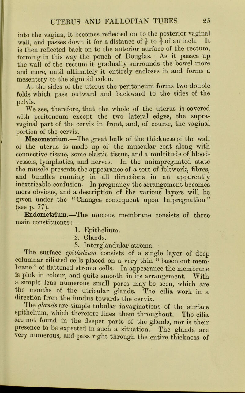 into the vagina, it becomes reflected on to the posterior vaginal wall, and passes down it for a distance of ^ to f of an inch. It is then reflected back on to the anterior surface of the rectum, forming in this way the pouch of Douglas. As it passes up the wall of the rectum it gradually surrounds the bowel more and more, until ultimately it entirely encloses it and forms a mesentery to the sigmoid colon. At the sides of the uterus the peritoneum forms two double folds which pass outward and backward to the sides of the pelvis. We see, therefore, that the whole of the uterus is covered with peritoneum except the two lateral edges, the supra- vaginal part of the cervix in front, and, of course, the vaginal portion of the cervix. Mesometrium.—The great bulk of the thickness of the wall of the uterus is made up of the muscular coat along with connective tissue, some elastic tissue, and a multitude of blood- vessels, lymphatics, and nerves. In the unimpregnated state the muscle presents the appearance of a sort of felt work, fibres, and bundles running in all directions in an apparently inextricable confusion. In pregnancy the arrangement becomes more obvious, and a description of the various layers will be given under the “ Changes consequent upon Impregnation ” (see p. 77). Endometrium.—The mucous membrane consists of three main constituents :— 1. Epithelium. 2. Glands. 3. Interglandular stroma. The surface epithelium consists of a single layer of deep columnar ciliated cells placed on a very thin “ basement mem- brane ” of flattened stroma cells. In appearance the membrane is pink in colour, and quite smooth in its arrangement. With a simple lens numerous small pores may be seen, which are the mouths of the utricular glands. The cilia work in a direction from the fundus towards the cervix. The glands are simple tubular invaginations of the surface epithelium, which therefore lines them throughout. The cilia are not found in the deeper parts of the glands, nor is their piesence to be expected in such a situation. The glands are veiy numerous, and pass right through the entire thickness of