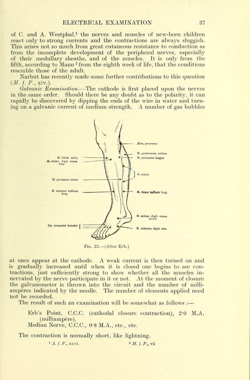 of C. and A. Westphal,^ the nerves and muscles of new-born children react only to strong currents and the contractions are always sluggish. This arises not so much from great cutaneous resistance to conduction as from the incomplete development of the peripheral nerves, especially of their medullary sheaths, and of the muscles. It is only from the fifth, according to Mann ^ from the eighth week of life, that the conditions resemble those of the adult. Narbut has recently made some further contributions to this question {M. f. P., xiv.). Galvanic Examination.—The cathode is first placed upon the nerves in the same order. Should there be any doubt as to the polarity, it can rapidly be discovered by dipping the ends of the wire in water and turn- ing on a galvanic current of medium strength. A number of gas bubbles Fig. 25.—(After Eib.) at once appear at the cathode. A weak current is then turned on and is gradually increased until when it is closed one begins to see con- tractions, just sufficiently strong to show whether all the muscles in- nervated by the nerve participate in it or not. At the moment of closure the galvanometer is thrown into the circuit and the number of milli- amperes indicated by the needle. The number of elements applied need not be recorded. The result of such an examination will be somewhat as follows :— Erb's Point, C.C.C. (cathodal closure contraction), 2*0 M.A. (milliampere). Median Nerve, C.C.C, 0-8 M.A., etc., etc. The contraction is normally short, like lightning. 1 A. /. P., xxvi. 2 M. f. P., vii