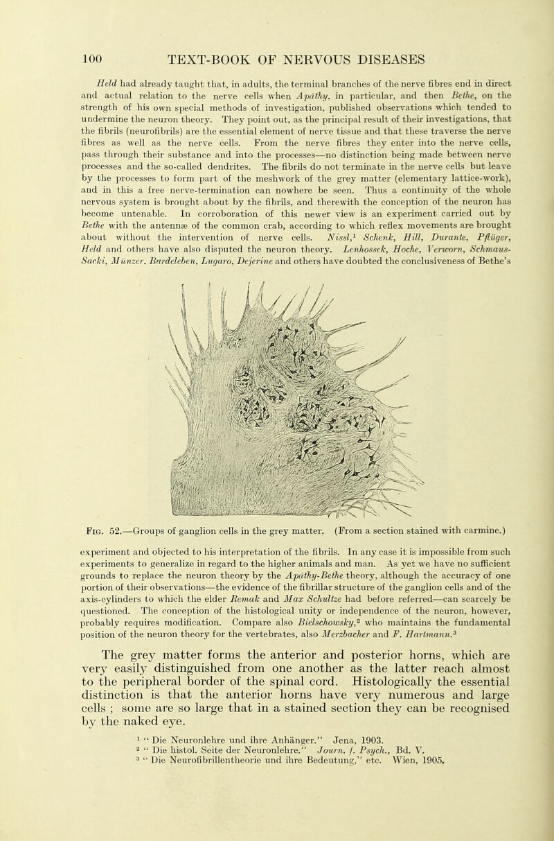 Held had already taught that, in adults, the terminal branches of the nerve fibres end m direct and actual relation to the nerve cells when Apathy, in particular, and then Beihe, on the strength of his own special methods of investigation, published observations which tended to undermine the neuron theory. They point out, as the prmcipal result of their investigations, that the fibrils (neurofibrils) are the essential element of nerve tissue and that these traverse the nerve fibres as well as the nerve cells. From the nerve fibres they enter into the nerve cells, pass through their substance and into the processes—no distinction being made between nerve processes and the so-called dendrites. The fibrils do not terminate in the nerve cells but leave by the processes to form part of the meshwork of the grey matter (elementar}' lattice-work), and in this a free nerve-termination can nowhere be seen. Thus a continuity of the whole nervous system is brought about by the fibrils, and therewith the conception of the neuron has become untenable. In corroboration of this newer view is an experiment carried out by Bethe with the antennae of the common crab, according to which reflex movements are brought about without the intervention of nerve cells. Nisd,'^ Schenk, Hill, Durante, Pfliiger, Held and others have also disputed the neuron theory. Lenliossek, Hoche, Verworn, Schmaus- Sac.ki, Milnzer. Burdelehen, Lugaro, Dejerine and others have doubted the conclusiveness of Bethe's Fig. 52.—Groups of ganglion cells in the grey matter. (From a section stained with carmine.) experiment and objected to his interpretation of the fibrils. In any case it is impossible from such experiments to generalize in regard to the higher animals and man. As yet we have no sufiicient grounds to replace the neuron theory by the Apdthy-Eethe theory, although the accuracy of one portion of their observations—the evidence of the fibrillar structure of the ganglion cells and of the axis-cylinders to which the elder Remah and Max Schultze had before referred—can scarcely be questioned. The conception of the histological unity or independence of the neuron, however, probably requires modification. Compare also Bielscliowsky,^ who maintains the fundamental position of the neuron theory for the vertebrates, also Merzbacher and F. Hartmann.^ The grey matter forms the anterior and posterior horns, which are very easily distinguished from one another as the latter reach almost to the peripheral border of the spinal cord. Histologically the essential distinction is that the anterior horns have very numerous and large cells ; some are so large that in a stained section they can be recognised by the naked eye. ^  Die Neuronlehre und ihre Anhanger. Jena, 1903. 2  Die histol. Seite der Neuronlehre. Journ. f. Psych., Bd. V. '  Die Neurofibrillentheorie und ihre Bedeutung, etc. Wien, 1905.