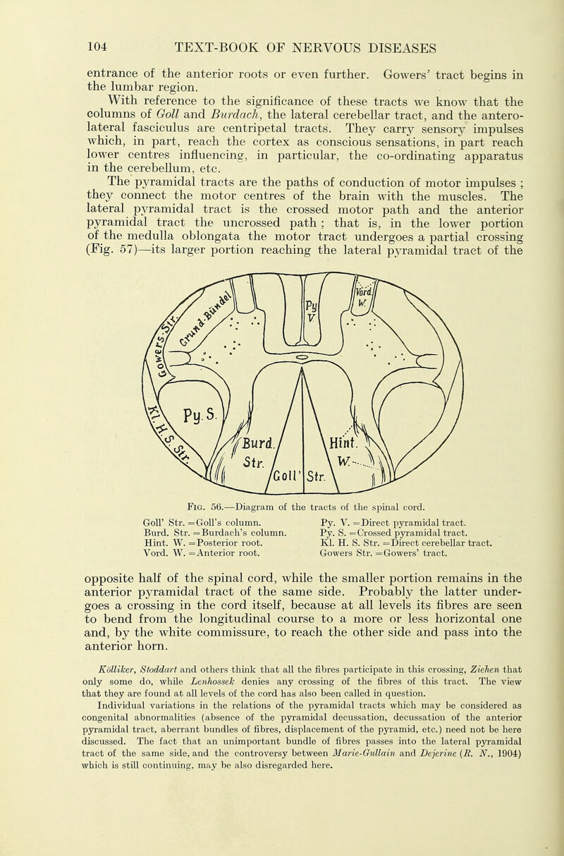 entrance of the anterior roots or even further. Gowers' tract begins in the lumbar region. With reference to the significance of these tracts A^^e know that the columns of Goll and Burdach, the lateral cerebellar tract, and the antero- lateral fasciculus are centripetal tracts. They carry sensory- impulses which, in part, reach the cortex as conscious sensations, in part reach lower centres influencing, in particular, the co-ordinating apparatus in the cerebellum, etc. The pyramidal tracts are the paths of conduction of motor impulses ; they connect the motor centres of the brain with the muscles. The lateral pyramidal tract is the crossed motor path and the anterior pyramidal tract the uncrossed path ; that is, in the lower portion of the medulla oblongata the motor tract undergoes a partial crossing (Fig. 57)—its larger portion reaching the lateral pyramidal tract of the FiGt. 56.—Diagram of the tracts of the spinal cord. Goll' Str. =GoU's column. Py. V. = Direct pyramidal tract. Burd. Str. =Burdach's column. Py. S. = Crossed pyramidal tract. Hint. W. = Posterior root. Kl. H. S. Str. = Direct cerebellar tract. Vord. W. = Anterior root. Gowers Str. =Gowers' tract. opposite half of the spinal cord, while the smaller portion remains in the anterior pyramidal tract of the same side. Probably the latter under- goes a crossing in the cord itself, because at all levels its fibres are seen to bend from the longitudinal course to a more or less horizontal one and, by the white commissure, to reach the other side and pass into the anterior horn. K'dlliher, Stoddart and others think that all the fibres participate in this crossing, Ziehen that only some do, whUe LenJiossek denies any crossing of the fibres of this tract. The view that they are found at all levels of the cord has also been called in question. Individual variations in the I'elations of the pyramidal tracts which may be considered as congenital abnormalities (absence of the pyramidal decussation, decussation of the anterior pyramidal tract, aberrant bimdles of fibres, displacement of the pjramid, etc.) need not be here discussed. The fact that an unimportant bundle of fibres passes into the lateral pyramidal tract of the same side, and the controversy between Marie-Gullain and Dejerine {R. N., 1904) which is still continuing, may be also disregarded here.