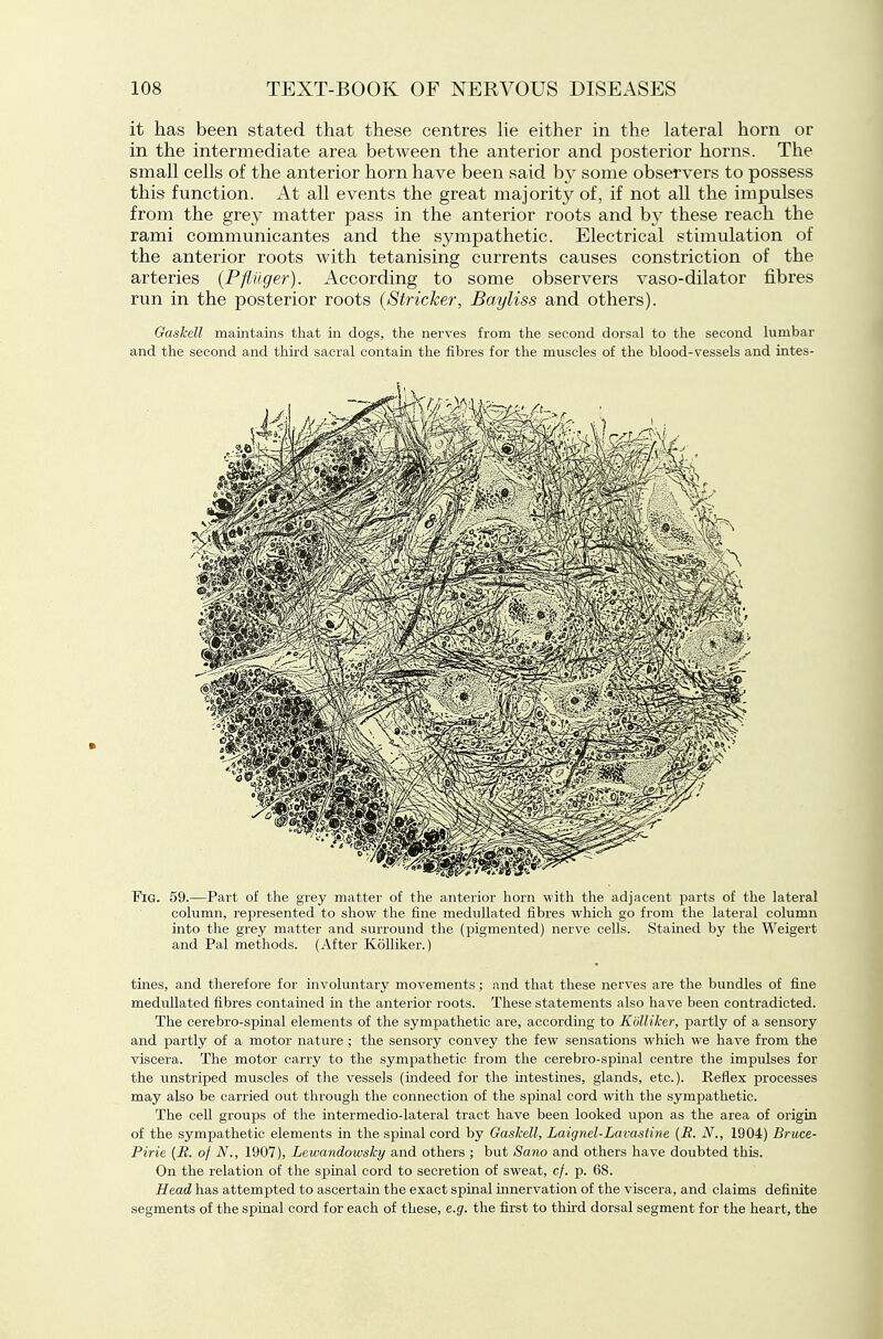 it has been stated that these centres he either in the lateral horn or in the intermediate area between the anterior and posterior horns. The small cells of the anterior horn have been said by some observers to possess this function. At all events the great majority of, if not all the impulses from the grey matter pass in the anterior roots and b}' these reach the rami communicantes and the sympathetic. Electrical stimulation of the anterior roots with tetanising currents causes constriction of the arteries {Pfliiger). According to some observers vaso-dilator fibres run in the posterior roots (Strieker, Bayliss and others). Gaskell maintains that in dogs, the nerves from the second dorsal to the second lumbar and the second and third sacral contain the fibres for the muscles of the blood-vessels and intes- Fig. 59.—Part of the grey matter of the anterior horn with the adjacent parts of the lateral column, represented to show the fine medullated fibres which go from the lateral column into the grey matter and surround the (pigmented) nerve cells. Stained by the Weigert and Pal methods. (After Kolliker.) tines, and therefore for involuntary movements; and that these nerves ai'e the bundles of fine medullated fibres contained in the anterior roots. These statements also have been contradicted. The cerebro-spinal elements of the sympathetic are, according to Kolliker, partly of a sensory and partly of a motor nature ; the sensory convey the few sensations which we have from the viscera. The motor carry to the sympathetic from the cerebro-spmal centre the impulses for the unstriped muscles of the vessels (indeed for the intestines, glands, etc.). Reflex processes may also be carried out through the connection of the spinal cord with the sympathetic. The cell groups of the intermedio-lateral tract have been looked upon as the area of origin of the sympathetic elements in the spinal cord by OasJcell, Laignel-Lavasiine {R. N., 1904) Bruce- Pirie {E. of N., 1907), Lewandowsky and others ; but Sano and others have doubted this. On the relation of the spinal cord to secretion of sweat, cj. p. 68. Head has attempted to ascertain the exact spinal mnervation of the viscera, and claims definite segments of the spinal cord for each of these, e.g. the first to third dorsal segment for the heart, the