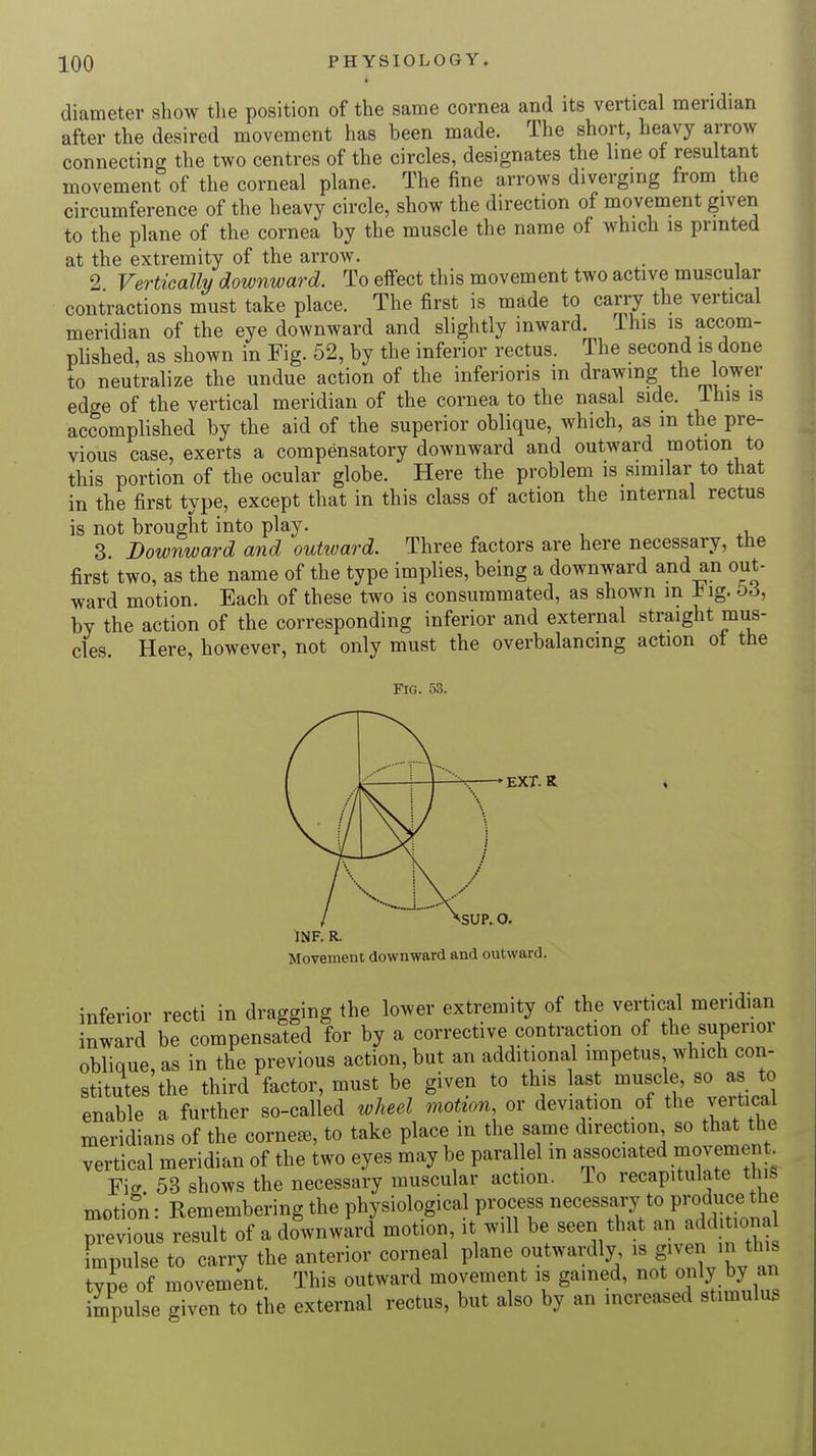 diameter show the position of the same cornea and its vertical meridian after the desired movement has been made. The short, heavy arrow connecting the two centres of the circles, designates the line of resultant movement of the corneal plane. The fine arrows diverging from the circumference of the heavy circle, show the direction of movement given to the plane of the cornea by the muscle the name of which is printed at the extremity of the arrow. . 2 Vertically downward. To effect this movement two active muscular contractions must take place. The first is made to carry the vertical meridian of the eye downward and slightly inward, lhis is accom- plished, as shown in Fig. 52, by the inferior rectus. The second is done to neutralize the undue action of the inferioris in drawing the> lower edge of the vertical meridian of the cornea to the nasal side, lhis is accomplished by the aid of the superior oblique, which, as m the pre- vious case, exerts a compensatory downward and outward motion to this portion of the ocular globe. Here the problem is similar to that in the first type, except that in this class of action the internal rectus is not brought into play. 3 Downward and outward. Three factors are here necessary, the first two, as the name of the type implies, being a downward and an out- ward motion. Each of these two is consummated, as shown in 1 lg. 53, by the action of the corresponding inferior and external straight mus- cles Here, however, not only must the overbalancing action ol the Fig. 53. EXT. R <SUP.O. INF. R. Movement downward and outward. inferior recti in dragging the lower extremity of the vertical meridian inward be compensated for by a corrective contraction of the superior oblique, as in the previous action, but an additional impetus which con- stitutes the third factor, must be given to this last muscle, so as to enable a further so-called wheel motion or deviation of the vertical meridians of the corner, to take place in the same direction so that the vertical meridian of the two eyes may be parallel m associated movement Fig 53 shows the necessary muscular action. To recapitulate this motion: Remembering the physiological process necessary to produce, the previous result of a downward motion, it will be seen that an add itonal impulse to carry the anterior corneal plane outwardly is given in this type of movement. This outward movement is gained, not only by an impulse given to the external rectus, but also by an increased stimulus