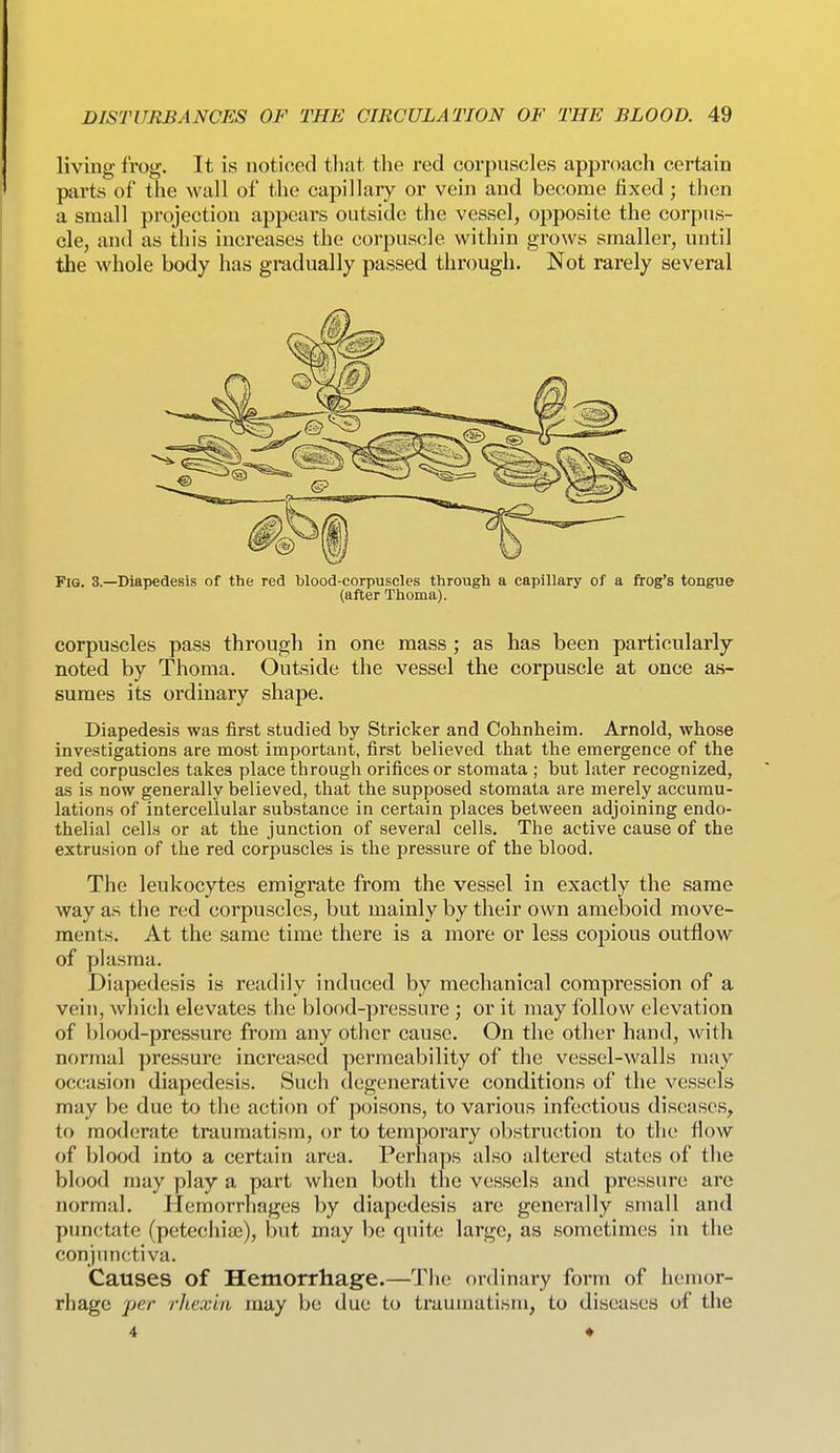 living frog. It is noticed tiiat the red corpuscles approach certain parts of the wall of the capillary or vein and become fixed; then a small projection appears outside the vessel, opposite the corpus- cle, and as this increases the corpuscle within grows smaller, until the whole body has gradually passed through. Not rarely several Fig. 3.—Diapedesis of the red blood-corpuscles through a capillary of a frog's tongue (after Thoma). corpuscles pass through in one mass ; as has been particularly noted by Thoma. Outside the vessel the corpuscle at once as- sumes its ordinary shape. Diapedesis was first studied by Strieker and Cohnheim. Arnold, whose investigations are most important, first believed that the emergence of the red corpuscles takes place through orifices or stomata ; but later recognized, as is now generally believed, that the supposed stomata are merely accumu- lations of intercellular substance in certain places between adjoining endo- thelial cells or at the junction of several cells. The active cause of the extrusion of the red corpuscles is the pressure of the blood. The leukocytes emigrate from the vessel in exactly the same way as the red corpuscles, but mainly by their own ameboid move- ments. At the same time there is a more or less copious outflow of plasma. Diapedesis is readily induced by mechanical compression of a vein, wliich elevates the blood-pressure ; or it may follow elevation of blood-pressure from any other cause. On the other hand, with normal pressure increased permeability of the vessel-walls may occasion diapedesis. Such degenerative conditions of the vessels may be due to the action of poisons, to various infectious diseases, to moderate traumatism, or to temporary obstruction to tlie flow of blood into a certain area. Perhaps also altered states of the blood may play a part when both the vessels and pressure are normal. Hemorrhages by diapedesis are generally small and punctate (petechisB), but may Ije quite large, as sometimes in the conjunctiva. Causes of Hemorrhage.—The ordinary form of hemor- rhage j)er rhexin may be due to traumatism, to diseases of the 4 *