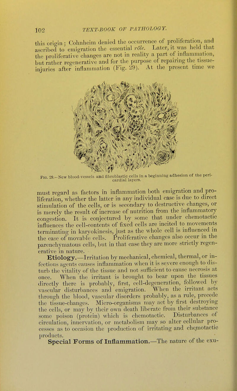 this origin; Colinheim denied the occurrence of proliferation, and ascribed to' emigration the essential rdle. Later, it was held that the proliferative changes are not in reality a part of inflammation, but rather regenerative and for the purpose of repairing the tissue- injuries after inflammation (Fig. 29). At the present time we Fig 29 -New blood-vessels and fibroblastic cells in a beginning adhesion of the peri- cardial layers. must regard as factors in inflammation both emigration and pro- liferation, whether the latter in any individual case is due to direct stimulation of the cells, or is secondary to destructive changes, or is merely the result of increase of nutrition from the inflammatory congestion. It is conjectured by some that under chemotactic influences the cell-contents of fixed cells are incited to movements terminating in karyokinesis, just as the whole cell is influenced in the case of movable cells. Proliferative changes also occur m the parenchymatous cells, but in that case they are more strictly regen- erative in nature. Ktiology.—Irritation by mechanical, chemical, thermal, or in- fectious agents causes inflammation when it is severe enough to dis- turb the vitality of the tissue and not sufficient to cause necrosis at once. When the irritant is brought to bear upon the tissues directly there is probably, first, cell-degeneration, followed by vascular disturbances and emigration. When the irritant acts through the blood, vascular disorders probably, as a rule, precede the tissue-changes. Micro-organisms may act by first destroying the cells, or may by their own death liberate from their substance some poison (protein) which is chemotactic. Disturbances of circulation, innervation, or metabolism may so alter cellular pro- cesses as to occasion the production of irritating and chQinotactic products. Special Forms of Inflammation.—The nature of the exu-