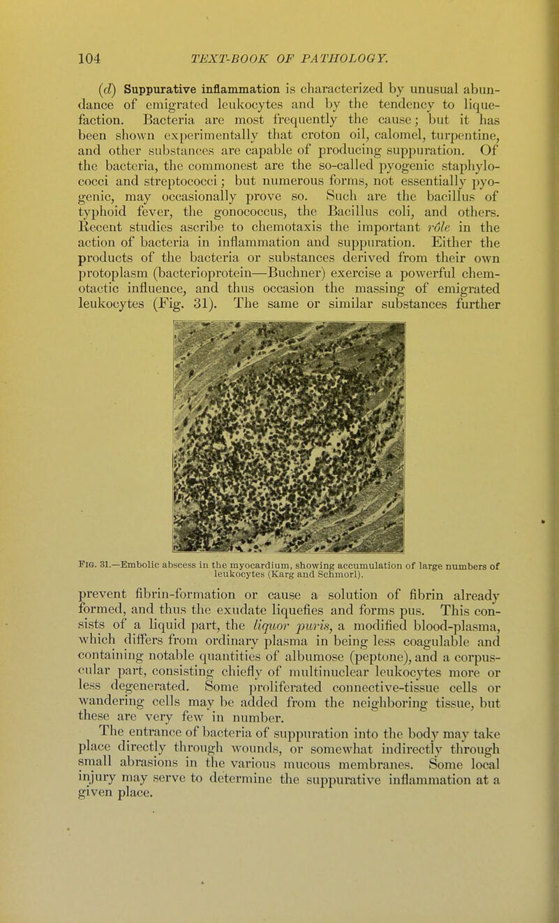 (d) Suppurative inflammation is characterized by unusual abun- dance of emigrated leukocytes and by the tendency to lique- faction. Bacteria are most frequently the cause; but it has been shown experimentally that croton oil, calomel, turpentine, and other substances are capable of producing suppuration. Of the bacteria, the commonest are the so-called pyogenic stapliylo- cocci and streptococci; but numerous forms, not essentially pyo- genic, may occasionally prove so. Such are the bacillus of typhoid fever, the gonococcus, the Bacillus coli, and others. Recent studies ascribe to chemotaxis the important role in the action of bacteria in inflammation and suppuration. Either the products of the bacteria or substances derived from their own protoplasm (bacterioprotein—Buchner) exercise a powerful chem- otactic influence, and thus occasion the massing of emigrated leukocytes (Fig. 31). The same or similar substances further Fig. 31.—Embolic abscess in the myocardium, showing accumulation of large numbers of leukocytes (Karg and Schmorl). prevent fibrin-formation or cause a solution of fibrin already formed, and thus the exudate liquefies and forms pus. This con- sists of a liquid part, the liquor puris, a modified blood-plasma, which differs from ordinary plasma in being less coagulable and containing notable quantities of albumose (peptone), and a corpus- cular part, consisting chiefly of multinuclear leukocytes more or less degenerated. Some jiroliferated connective-tissue cells or wandering cells may be added from the neighboring tissue, but these are very few in number. The entrance of bacteria of suppuration into the body may take place directly through wounds, or somewhat indirectly through small abrasions in the various mucous membranes. Some local injury may serve to determine the suppurative inflammation at a given place.