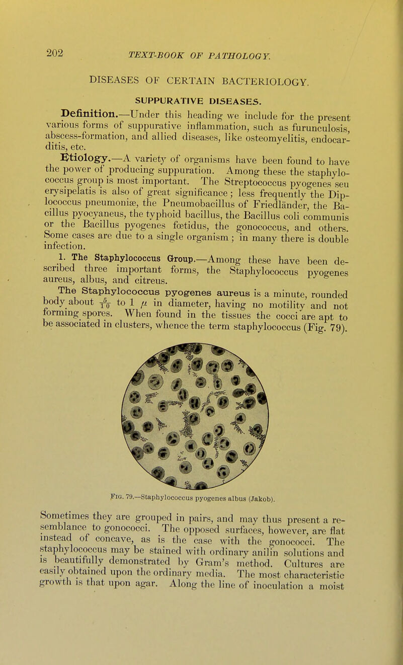 DISEASES OF CERTAIN BACTERIOLOGY. SUPPURATIVE DISEASES. Definition.—Under this heading we include for the present various forms of suppurative inflammation, such as furunculosis abscess-formation, and allied diseases, like osteomyelitis, endocar- ditis, etc. etiology.—A variety of organisms have been found to have the power of producing suppuration. Among these the staphylo- coccus group is most important. The Streptococcus pyogenes sen erysipelatis is also of great significance; less frequently the Dip- lococcus pneumoniae, the Pneumobacillus of Friedlander, the Ba- cillus pyocyaneus, the typhoid bacillus, the Bacillus coli commmiis or the Bacillus pyogenes foetidus, the gonococcus, and others, borne cases are due to a single organism; in many there is double infection. 1. The Staphylococcus Group.—Among these have been de- scribed three important forms, the Staphylococcus pyogenes aureus, albus, and citreus. K A^^\ Staphylococcus pyogenes aureus is a minute, rounded body about ^-^ to 1 in diameter, having no motility and not forming spores. When found in the tissues the cocci are apt to be associated in clusters, whence the term staphylococcus (Fig. 79). Fig. 79.—Staphylococcus pyogenes albus (Jakob). Sometimes they are grouped in pairs, and may thus present a re- semblance to gonococci. The opposed surfaces, however, are flat instead of concave, as is the case with the gonococci. The staphylococcus may be stained with ordinary anil in solutions and IS beautifully demonstrated by Gram's method. Cultures arc easily obtained upon the ordinary media. The most characteristic growth IS that upon agar. Along the line of inoculation a moist