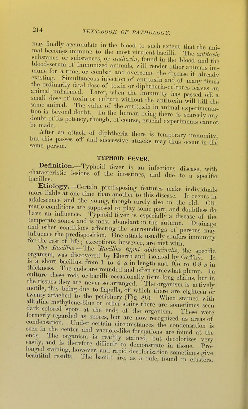 may finally accumulate in the blood to such extent that the ani mal becomes immune to the most virulent bacilli. The antitoxic substance or substances, or antitoxin, found in the blood and the blood-serum of immunized animals, will render other animals im- mune for a time, or combat and overcome the disease if already existing. Simultaneous injection of antitoxin and of many times the ordinarily fatal dose of toxin or diphtheria-cultures leaves an animal unharmed. Later, when the immunity has passed off a small dose of toxin or culture without the antitoxin will kill the same animal. The value of the antitoxin in animal experimenta- tion is beyond doubt. In the human being there is scarcely any be made ' ^ t\^ongh, of course, crucial experiments cannot After an attack of diphtheria there is temporary immunity but this passes off and successive attacks may thus occur in the same person. TYPHOID FEVER. Definition.—Typhoid fever is an infectious disease, with bacS'' intestines, and due to a specific miology.—Certain predisposing features make individuals more liable at one time than another to this disease. It occurs in adolescence and the young, though rarely also in the old Cli- matic conditions are supposed to play some part, and doubtless do have an mfluence. Typhoid fever is especially a disease of the temperate zones, and is most abundant in the autumn. Drainage and other conditions affecting the surroundings of persons may infiiience the predisposition. One attack usually confers immunity tor the rest of life ; exceptions, however, are met with. The Bacillus.—The Bacillus typhi abdominalis, the specific organism, was discovered by Eberth and isolated by Gaffky It IS a short bacillus, from 1 to 4 // in length and 0.5 to 0.8 u in thickness The ends are rounded and often somewhat plump In culture these rods or bacilli occasionally form long chains, but in the tissues they are never so arranged. The organism is actively motile, this being due to flagella, of which there are eighteen or twenty attached to the periphery (Fig. 86). When stained with alkaline methylene-blue or other stains there are sometimes seen dark-colored spots at the ends of the organism. These were formerly regarded as spores, but are now recognized as areas of condensation. Under certain circumstances the condensation is seen in the center and vacuole-like formations are found at the e^slw nnr-^'T'?' \T'fy ^ut decolorizes very easily and is therefore difficult to demonstrate in tissue. Pro- onged staining however and rapid decolorization sometimes give beautiful results. The bacilli are, as a rule, found in clusfers.