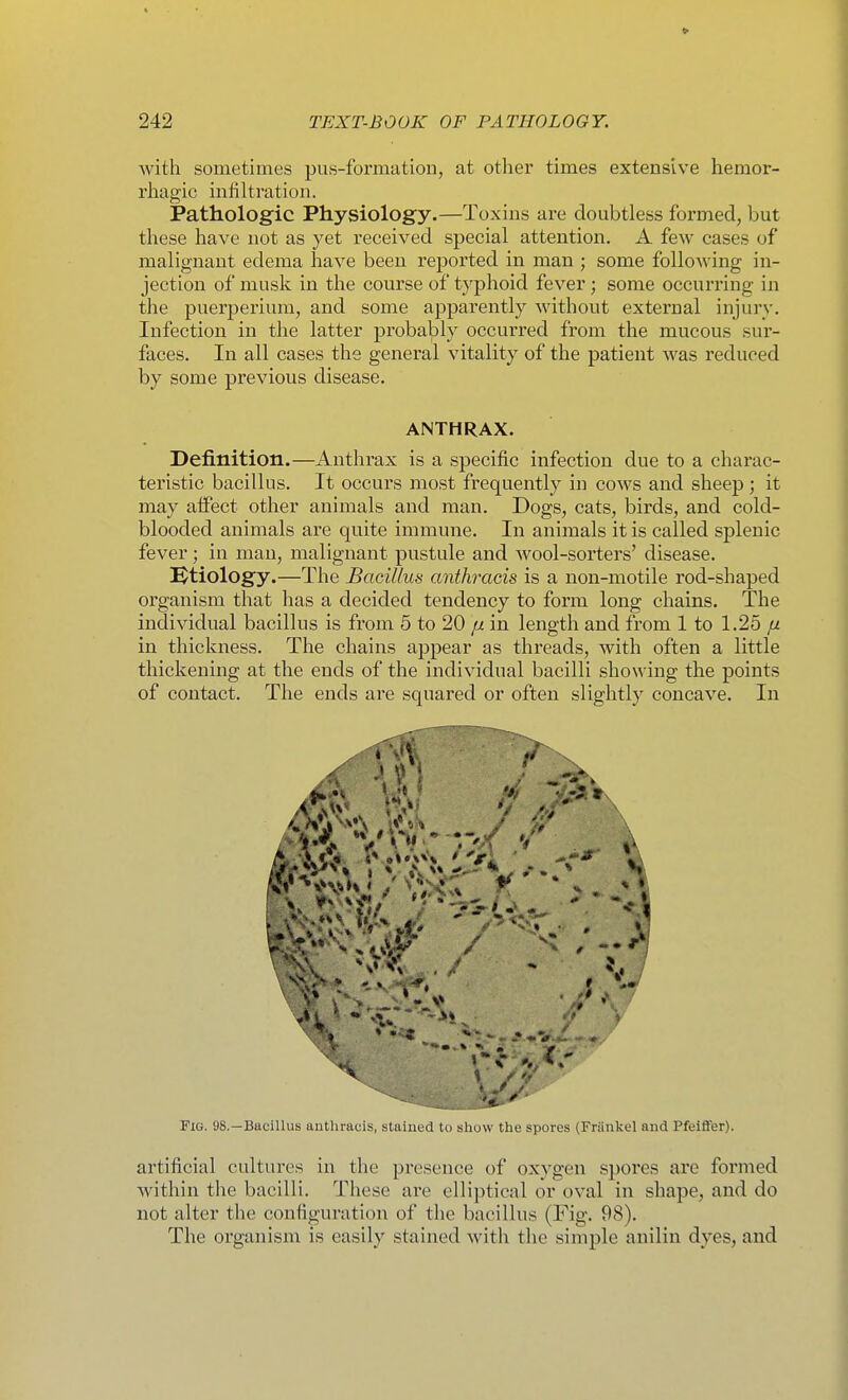Avith sometimes pus-formation, at otlier times extensive hemor- rhagic infiltration. Pathologic Physiology.—Toxins are doubtless formed, but these have not as yet received special attention. A few cases of malignant edema have been reported in man ; some following in- jection of musk in the course of typhoid fever ; some occuiTing in the puerperium, and some apparently without external injury. Infection in the latter probably occurred from the mucous sur- faces. In all cases the general vitality of the patient was reduced by some previous disease. ANTHRAX. Definition.—Anthrax is a specific infection due to a charac- teristic bacillus. It occurs most frequently in cows and sheep ; it may aifect other animals and man. Dogs, cats, birds, and cold- blooded animals are quite immune. In animals it is called splenic fever; in man, malignant pustule and wool-sorters' disease. i^tiology.—The Bacillus anthracis is a non-motile rod-shaped organism that has a decided tendency to form long chains. The individual bacillus is from 5 to 20 in length and from 1 to 1.25 ju in thickness. The chains appear as threads, with often a little thickening at the ends of the individual bacilli showing the points of contact. The ends are squared or often slightly concave. In Fig. 98.—Bacillus anthracis, stained to show the spores (Frankel and Pfeiflfer). artificial cultures in the presence of oxygen spores are formed within t\\e bacilli. These are elliptical or oval in shape, and do not alter the configuration of the bacillus (Fig. 98). The organism is easily stained with the simple anilin dyes, and