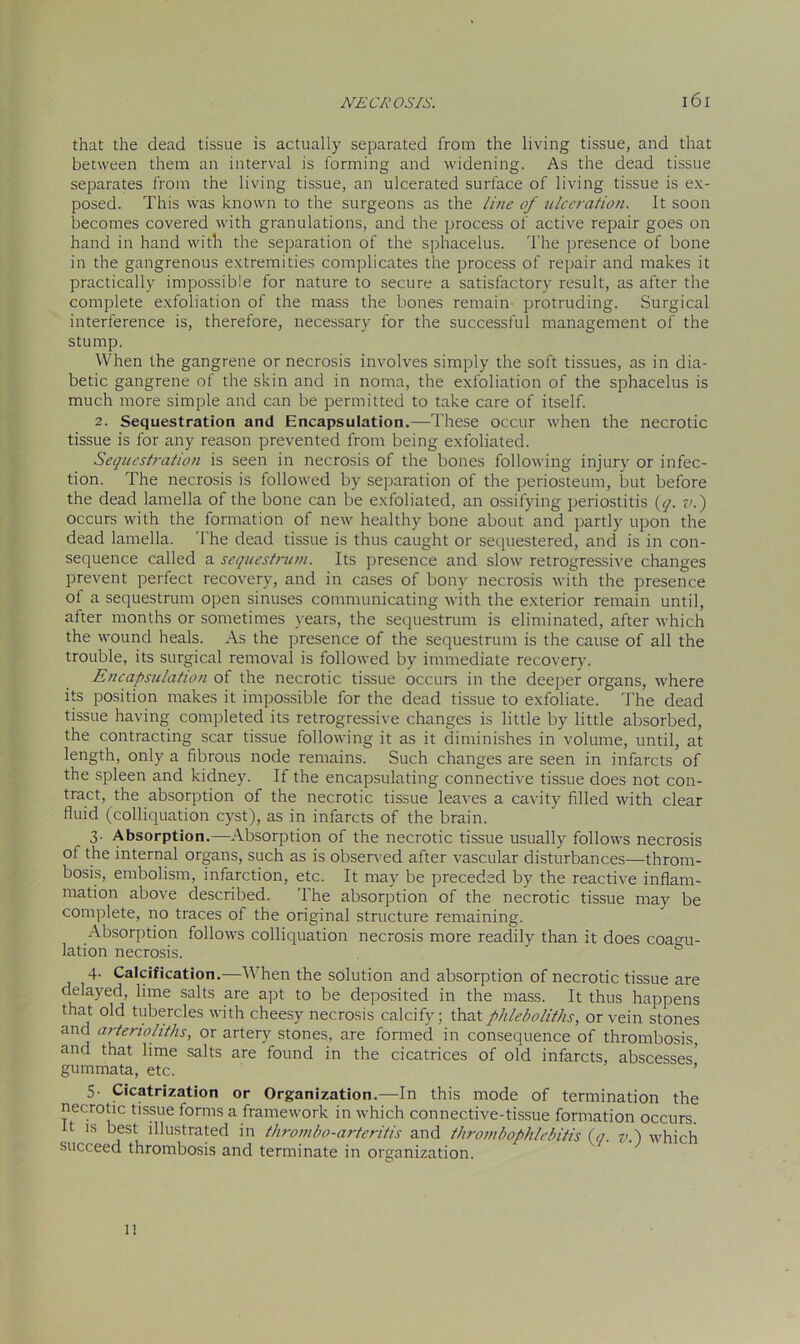 that the dead tissue is actually separated from the living tissue, and that between them an interval is forming and widening. As the dead tissue separates from the living tissue, an ulcerated surface of living tissue is ex- posed. This was known to the surgeons as the line of ulceration. It soon becomes covered with granulations, and the process of active repair goes on hand in hand with the separation of the sphacelus. The presence of bone in the gangrenous extremities complicates the process of repair and makes it practically impossible for nature to secure a satisfactory result, as after the complete exfoliation of the mass the bones remain protruding. Surgical interference is, therefore, necessary for the successful management of the stump. When the gangrene or necrosis involves simply the soft tissues, as in dia- betic gangrene of the skin and in noma, the exfoliation of the sphacelus is much more simple and can be permitted to take care of itself. 2. Sequestration and Encapsulation.—These occur when the necrotic tissue is for any reason prevented from being exfoliated. Sequestration is seen in necrosis of the bones following injury or infec- tion. The necrosis is followed by separation of the periosteum, but before the dead lamella of the bone can be exfoliated, an ossifying periostitis (y. v.) occurs with the formation of new healthy bone about and partly upon the dead lamella. 1 he dead tissue is thus caught or sequestered, and is in con- sequence called a sequestrum. Its presence and slow retrogressive changes prevent perfect recovery, and in cases of bony necrosis with the presence of a sequestrum open sinuses communicating with the exterior remain until, after months or sometimes years, the sequestrum is eliminated, after which the wound heals. As the presence of the sequestrum is the cause of all the trouble, its surgical removal is followed by immediate recovery. Encapsulation of the necrotic tissue occurs in the deeper organs, where its position makes it impossible for the dead tissue to exfoliate. The dead tissue having completed its retrogressive changes is little by little absorbed, the contracting scar tissue following it as it diminishes in volume, until, at length, only a fibrous node remains. Such changes are seen in infarcts of the spleen and kidney. If the encapsulating connective tissue does not con- tract, the absorption of the necrotic tissue leaves a cavity filled with clear fluid (colliquation cyst), as in infarcts of the brain. 3. Absorption.—Absorption of the necrotic tissue usually follows necrosis of the internal organs, such as is observed after vascular disturbances—throm- bosis, embolism, infarction, etc. It may be preceded by the reactive inflam- mation above described. The absorption of the necrotic tissue may be complete, no traces of the original structure remaining. Absorption follows colliquation necrosis more readily than it does coagu- lation necrosis. 4- Calcification.—When the solution and absorption of necrotic tissue are delayed, lime salts are apt to be deposited in the mass. It thus happens that old tubercles with cheesy necrosis calcify; that phleboliths, or vein stones and artenohths, or artery stones, are formed in consequence of thrombosis, and that lime salts are found in the cicatrices of old infarcts, abscesses' gummata, etc. 5- Cicatrization or Organization.—In this mode of termination the necrotic tissue forms a framework in which connective-tissue formation occurs. It is best illustrated in thrombo-arteritis and thrombophlebitis (a. vP) which succeed thrombosis and terminate in organization. 11