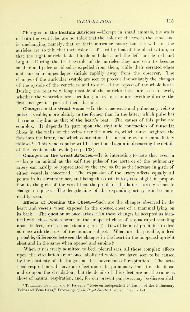 Changes in the Beating- Auricles.—Except in small animals, the walls of both the ventricles are so thick that the color of tlie two is the same and is unchanging, namely, that of their muscular mass; but the walls of the auricles are so thin that their color is affected by that of the blood within, so that the right auricle looks bluish and dark and the left auricle red and bright. During the brief systole of the auricles they are seen to become smaller and paler as blood is expelled from them, while their serrated edges and auricular appendages shrink rapidly away from the observer. The changes of the auricular systole are seen to precede immediately the changes of the systole of the ventricles and to succeed the repose of the whole heart. During the relatively long diastole of the auricles these are seen to swell, whether the ventricles are shrinking in systole or are swelling during the first and greater part of their diastole. Changes in the Great Veins.—In the venae cavae and pulmonary veins a pulse is visible, more plainly in the former than in the latter, which pulse has the same rhythm as that of the heart's beat. The causes of this pulse are complex. It depends in part upon the rhythmic contraction of muscular fibres in the walls of the veins near the auricles, wdiich must heighten the flow into the latter, and which contraction the auricular systole immediately follows.^ This venous pulse will be mentioned again in discussing the details of the events of the cycle (see p. 138). Changes in the Great Arteries.—It is interesting to note that even in so large an animal as the calf the pulse of the aorta or of the pulmonary artery can hardly be appreciated by the eye, so far as the increase in girth of either vessel , is concerned. The expansion of the artery affects equally all points in its circumference, and being thus distributed, is so slight in propor- tion to the girth of the vessel that the profile of the latter scarcely seems to change its place. The lengthening of the expanding artery can be more readily seen. Effects of Opening the Chest.—Such are the changes observed in the heart and vessels when exposed in the opened chest of a mammal lying on its back. The question at once arises, Can these changes be accepted as iden- tical with those which occur in the unopened chest of a quadruped standing upon its feet, or of a man standing erect?. It will be most profitable to deal at once with the case of the human subject. What are the possible, indeed probable, differences between the changes in the heart in the unopened upright chest and in the same when opened and supine ? When air is freely admitted to both pleural sacs, all those complex effects upon the circulation are at once abolished which we have seen to be caused by the elasticity of the lungs and the movements of respiration. The arti- ficial respiration will have an effect upon the pulmonary transit of the blood and so upon the circulation ; but the details of this effect are not the same as those of natural respiration, and, for our present purpose, may be disregarded. ' T. Lauder Brunton and F. Fayrer: Note on Independent Pulsation of the Pulmonary Veins and Vena Cava, Proceedings of the Royal Society, 1876, vol. xxv. p. 174.