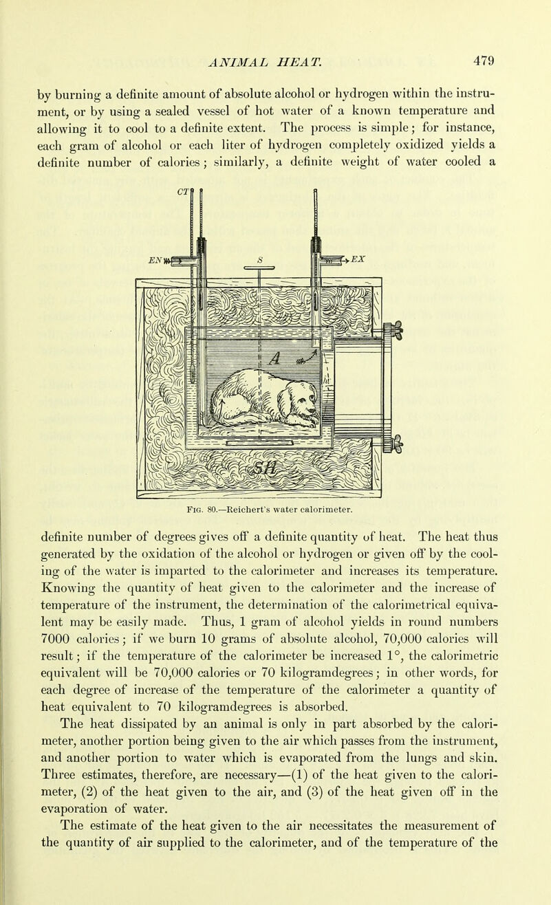 by burning a definite amount of absolute alcohol or hydrogen within the instru- ment, or by using a sealed vessel of hot water of a known temperature and allowing it to cool to a definite extent. The process is simple; for instance, each gram of alcohol or each liter of hydrogen completely oxidized yields a definite number of calories; similarly, a definite weight of water cooled a CT Fig. 80.—Reichert's water calorimeter. definite number of degrees gives off a definite quantity of heat. The heat thus generated by the oxidation of the alcohol or hydrogen or given off by the cool- ing of the water is imparted to the calorimeter and increases its temperature. Knowing the quantity of heat given to the calorimeter and the increase of temperature of the instrument, the determination of the calorimetrical equiva- lent may be easily made. Thus, 1 gram of alcohol yields in round numbers 7000 calories; if we burn 10 grams of absolute alcohol, 70,000 calories will result; if the temperature of the calorimeter be increased 1°, the calorimetric equivalent will be 70,000 calories or 70 kilogramdegrees; in other words, for each degree of increase of the temperature of the calorimeter a quantity of heat equivalent to 70 kilogramdegrees is absorbed. The heat dissipated by an animal is only in part absorbed by the calori- meter, another portion being given to the air which passes from the instrument, and another portion to water which is evaporated from the lungs and skin. Three estimates, therefore, are necessary—(1) of the heat given to the calori- meter, (2) of the heat given to the air, and (3) of the heat given olf in the evaporation of water. The estimate of the heat given to the air necessitates the measurement of the quantity of air supplied to the calorimeter, and of the temperature of the