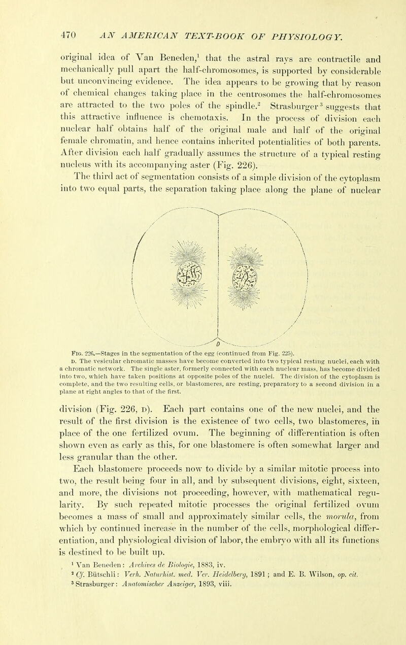 original idea of Van Beneden/ that the astral rays are contractile and mechanically pull aj^art the half-chromosomes, is supported by considerable but unconvincing evidence. The idea appears to be growing that by reason of chemical changes taking place in the centrosomes the half-chromosomes are attracted to the two poles of the spindle.^ Strasburger^ suggests that this attractive influence is chemotaxis. In the process of division each nuclear half obtains half of the original male and half of the original female chromatin, and hence contains inherited potentialities of both parents. After division each half gradually assumes the structure of a typical resting nucleus with its accompanying aster (Fig. 226). The third act of segmentation consists of a simple division of the cytoplasm into two equal parts, the separation taking place along the plane of nuclear / Fig. 226.—stages in the segmentation of the egg (continued from Fig. 225). D. The vesicular cliromatic masses liave become converted into two typical resting nuclei, each with a chromatic network. The single aster, formerly connected with each nuclear mass, has become divided into two, which have taken positions at opposite poles of the nuclei. The division of the cytoplasm is complete, and the two resulting cells, or blastomeres, are resting, preparatory to a second division in a plane at right angles to that of the first. division (Fig. 226, d). Each part contains one of tlie new nuclei, and the result of the first division is the existence of two cells, two blastomeres, in place of the one fertilized ovum. Tlie beginning of differentiation is often shown even as early as this, for one blastomere is often somewhat larger and less granular than the other. Each blastomere proceeds now to divide by a similar mitotic process into two, the result being four in all, and by subsequent divisions, eight, sixteen, and more, the divisions not proceeding, however, with mathematical regu- larity. By such repeated mitotic processes the original fertilized ovum becomes a mass of small and a])proximately similar cells, the morula, from which by continued increase in the number of tlie cells, morphological differ- entiation, and physiological division of labor, the embryo \\\\\\ all its functions is destined to be built up. ' Van Beneden : Archives de Biologic, 1883, iv. ' Cf. Biitschli: Verh. Nalurhist. med. Ver. Heidelbery, 1891 ; and E. B. Wilson, op. cit. * Strasburger: Analomiseher Anzeiger, 1893, viii.