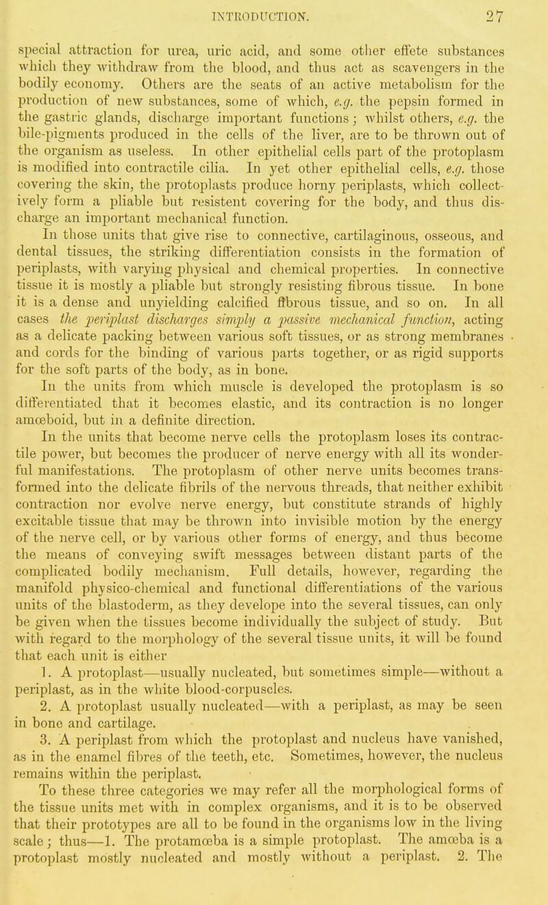 Special attraction for urea, uric acid, and some other effete substances which they withdraw from tlie blood, and thus act as scavengers in the bodily economy. Others ai'e the seats of an active metabolism for the production of new substances, some of which, e.g. the pepsin formed in the gastric glands, discliarge important functions; -whilst others, e.g. the bile-pigments produced in the cells of the liver, are to be thrown out of the organism as useless. In other epithelial cells part of the protoplasm is modified into contractile cilia. In yet other epithelial cells, e.g. those covering the skin, the protoplasts produce horny periplasts, which collect- ively form a pliable but resistent covering for the body, and thus dis- charge an important mechanical function. In those units that give rise to connective, cartilaginous, osseous, and dental tissues, the striking differentiation consists in the formation of periplasts, with varying physical and chemical properties. In connective tissue it is mostly a pliable but strongly resisting fibrous tissue. In bone it is a dense and unyielding calcified fibrous tissue, and so on. In all cases the j^eriplast discharges sm2)ly a j^ct'SSwe mechanical function, acting as a delicate jjacking between various soft tissues, or as strong membranes and cords for the binding of various parts together, or as rigid supports for the soft parts of the body, as in bone. In the units from which muscle is developed the protoplasm is so differentiated that it becomes elastic, and its contraction is no longer amoeboid, but in a definite direction. In the units that become nerve cells the protoplasm loses its contrac- tile power, but becomes the producer of nerve energy with all its wonder- ful manifestations. The protoplasm of other nerve units becomes trans- formed into the delicate fibrils of the nervous threads, that neither exhibit contraction nor evolve nerve energy, but constitute strands of highly excitable tissue that may be thrown into invisible motion by the energy of the nerve cell, or by various other forms of energy, and thus become the means of conveying swift messages between distant parts of the complicated bodily mechanism. Full details, hoM^ever, regarding the manifold physico-chemical and functional differentiations of the vaiious units of the blastoderm, as they develope into the several tissues, can only be given when the tissues become individually the subject of study. But with regard to the morphology of the several tissue units, it will be found that each unit is either 1. A protoplast—usually nucleated, but sometimes simple—without a periplast, as in the white blood-corpuscles. 2. A protoplast usually nucleated—with a periplast, as may be seen in bone and cartilage. 3. A periplast from which the protoplast and nucleus have vanished, as in the enamel fibres of the teeth, etc. Sometimes, however, the nucleus remains within the periplast. To these three categories we may refer all the morphological forms of the tissue units met with in complex organisms, and it is to be observed that their prototypes are all to be found in the organisms low in the living scale; thus—1. The protamoeba is a simple protoplast. The amoeba is a protoplast mostly nucleated and mostly without a periplast. 2. The