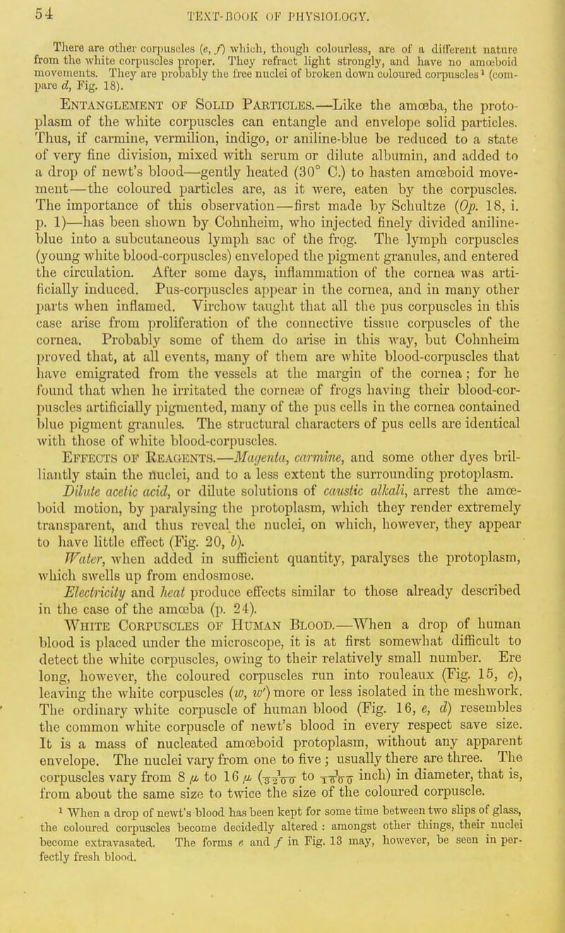Tliere are other corpuscles {«, y) which, though colourless, are of a diirereiit nature from the white corpuscles proper. They refract light strongly, and have no amoeboid movements. They are probably the free nuclei of broken down coloured corpuscles > (com- pare d, Fig. 18). Entanglejment of Solid Particles.—Like the amoeba, the proto- plasm of the white corpuscles can entangle and envelope solid particles. Thus, if carmine, vermilion, indigo, or aniline-blue be reduced to a state of very fine division, mixed with serum or dilute albumin, and added to a drop of newt's blood—gently heated (30° C.) to hasten amoeboid move- ment—the coloured particles are, as it were, eaten by the corpuscles. The importance of this observation—first made by Scliultze {Op. 18, i. p. 1)—has been shown by Cohnheim, who injected finely divided aniline- blue into a subcutaneous lymph sac of the frog. The lymph corpuscles (young white blood-corpuscles) enveloped the pigment granules, and entered the circulation. After some days, inflammation of the cornea was arti- ficially induced. Pus-corpuscles appear in the cornea, and in many other parts when inflamed. VirchoAV taught that all the pus corpuscles in this case arise from proliferation of the connective tissue corpuscles of the cornea. Probably some of them do arise in this way, but Cohnheim proved that, at all events, many of them are white blood-corpuscles that have emigrated from the vessels at the margin of the cornea; for he found that when he irritated the corneiB of frogs having their blood-cor- puscles artificially pigmented, many of the pus cells in the cornea contained blue pigment granules. The structural characters of pus cells are identical with those of white blood-corpuscles. Effects of Reagents.—Magenta, carmine, and some other dyes bril- liantly stain the rtuclei, and to a less extent the surrounding protoplasm. Dilate acetic acid, or dilute solutions of camtic alkali, arrest the amoe- boid motion, by paralysing the protoplasm, which they render extremely transparent, and thus reveal the nuclei, on which, however, they appear to have little effect (Fig. 20, b). Water, when added in sufficient quantity, paralyses the protoplasm, which swells up from endosmose. Electricity and heat produce efiects similar to those already described in the case of the amoeba (p. 24). White Corpuscles of Human Blood.—When a drop of human blood is placed under the microscope, it is at first somewhat difiicult to detect the white corpuscles, owing to their relatively small number. Ere long, however, the coloured corpuscles run into rouleaux (Fig. 1.5, c), leaving the white corpuscles (w, tv') more or less isolated in the meshwork. The ordinary white corpuscle of human blood (Fig. 16, e, d) resembles the common white corpuscle of newt's blood in every respect save size. It is a mass of nucleated amoeboid protoplasm, without any apparent envelope. The nuclei vary from one to five; usually there are three. The corpuscles vary from 8 to 16 /y, {-5^^ to j-g-Vdiameter, that is, from about the same size to twice the size of the coloured corpuscle. > When a drop of newt's blood has been kept for some time between two slips of glass, the coloured corpuscles become decidedly altered : amongst other things, their nuclei become e.xtravasated. The forms e and / in Fig. 13 may, however, be seen in per- fectly fresli blood.