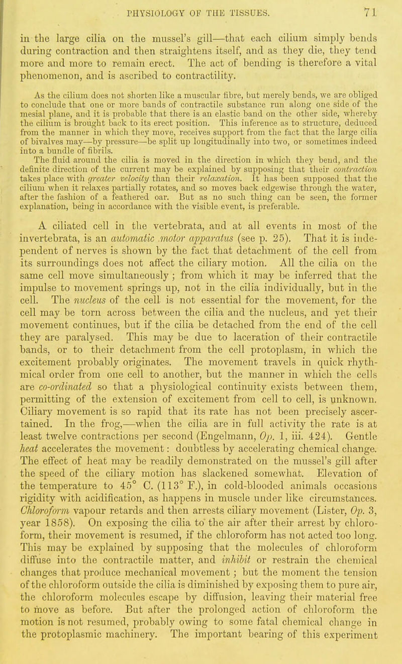 in the large cilia on the mussel's gill—that each cilium simply bends during contraction and then straightens itself, and as they die, they tend more and more to remain erect. The act of bending is therefore a vital phenomenon, and is ascribed to contractility. As the cilium does not shorten like a muscular fibre, but merely bends, we are obliged to conclude that one or more bands of contractile substance run along one side of the mesial plane, and it is probable that there is an elastic band on the other side, whereby the cilium is brought back to its erect position. This inference as to structure, deduced from the manner in which they move, receives support from the fact that the large cilia of bivalves may—by pressure—be split up longitudinally into two, or sometimes indeed into a bundle of fibrils. The fluid around the cilia is moved in the direction in which they bend, and the definite dii-ection of the current may be explained by supposing that their contraction takes place with greater velocity than their relaxation. It has been supposed that the cilium when it relaxes partially rotates, and so moves back edgewise through the water, after the fashion of a feathered oai-. But as no such thing can be seen, the former explanation, being in accordance with the visible event, is preferable. A ciliated cell in the vertebrata, and at all events in most of the invertebrata, is an automatic motor apparatus (see p. 25). That it is inde- pendent of nerves is shown by the fact that detachment of the cell from its surroundings does not affect the ciliary motion. All the cilia on the same cell move simultaneously ; from which it may be inferred that the impulse to movement springs up, not in the cilia individually, but in the cell. The nucleus of the cell is not essential for the movement, for the cell may be torn across between the cilia and the nucleus, and yet their movement continues, but if the cilia be detached from the end of the cell they are paralysed. This may be due to laceration of their contractile bands, or to their detachment from the cell protoplasm, in which the excitement probably originates. The movement travels in quick rhyth- mical order from one cell to another, but the manner in which the cells are co-ordinated so that a physiological continuity exists between them, permitting of the extension of excitement from cell to cell, is unknown. Ciliary movement is so rapid that its rate has not been precisely ascer- tained. In the frog,—when the cilia are in full activity the rate is at least twelve contractions per second (Engelmann, Op. 1, iii. 424). Gentle heat accelerates the movement: doubtless by accelerating chemical change. The effect of heat may be readily demonstrated on the mussel's gill after the speed of the ciliary motion has slackened somewhat. Elevation of the temperature to 45° C. (113° F.), in cold-blooded animals occasions rigidity with acidification, as happens in muscle under like circumstances. Chlorofmin vapour retards and then arrests ciliary movement (Lister, Op. 3, year 1858). On exposing the cilia to the air after their arrest by chloro- form, their movement is resumed, if the chloroform has not acted too long. This may be explained by supposing that the molecules of chloroform diffuse into the contractile matter, and inhibit or restrain the chemical changes that produce mechanical movement; but the moment the tension of the chloroform outside the cilia is diminished by exposing them to pure air, the chloroform molecules escape by diffusion, leaving their material free to move as before. But after the prolonged action of chloroform the motion is not resumed, probably owing to some fatal chemical change in the protoplasmic machinery. The important bearing of this experiment