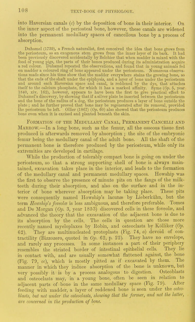 into Haversian canals (c) by the deposition of bone in their interior. On the inner asjject of the periosteal bone, however, these canals are widened into the permanent medullary spaces of cancellous bone by a process of absorption. Duhamel (1739), a French naturalist, first conceived the idea that hone grows from the periosteum, as an exogenous stem grows from the inner layer of its l)ark. It had been previously discovered accidentally by Belchier that when madder is mixed with the food of young pigs, the parts of their bones produced during its administration acquire a red colour. Duhamel repeated the observations, and found that in young animals fed on madder a coloured ring of bone appeared under the periosteum. Numerous observa- tions made since his time show that the madder evei^where stains the growing bone, so that the ends of the shaft under the epiphysis, and a layer of bone under the periosteum and around each Haversian space and canal, is reddened by the dye, that attaches itself to the calcium phosphate, for which it has a marked affinity. Syme {Op. 5, year 1840, xiv. 162), however, appears to have been the first to give practical effect to Duhamel's discovery, by showing that if a silver plate be inserted between the periosteum and the bone of the radius of a dog, the periosteum produces a layer of bone outside the plate ; and he further proved that bone may be regenerated after its removal, provided the periosteum be left. Oilier (1867) {0}). 60) also showed that the periosteum produces bone even when it is excised and planted beneath the skin. Formation of the Medullary Canal, Perhianent Cancelli and Marrow.—In a long bone, such as the femur, all the osseous tissue first produced is afterwards removed by absorption ; the site of the embryonic femur being the medullary canal of the adult bone. All the shaft of the permanent bone is therefore produced by the periosteum, while only its extremities are developed in cartilage. While the production of tolerably compact bone is going on under the periosteum, so that a strong supporting shell of bone is always main- tained, excavation takes place in the interior, and leads to the formation of the medullary canal and permanent medullary spaces. Howship was the first to observe the presence of minute pits on the fangs of the mdk- teeth during their absorption, and also on the surface and in the in- terior of bone wherever absorption may be taking place. These pits were consequently named Howship's lacunas by Lieberkiihn, but the term Hoivships foveolw is less ambiguous, and therefore preferable. Tomes and De Morgan [O]). 3, year 1853) discovered cells in these foveolw, and advanced the theory that the excavation of the adjacent bone is due to its absorption by the cells. The cells in question are those more recently named myeloplaxes by Eobin, and osteoclasts by Kolliker (Op. 62). They are multinucleated protoplasts (Fig. 74, a) devoid of con- tractility (Bizzozero, quoted in Oj). 62, p. 22). They have no envelope, and rarely any processes. In some instances a part of their periphery resembles the striated border of intestinal epithelial cells. They lie in contact with, and are usually somewhat flattened against, the bone (Fig. 79, oc), which is mostly pitted as if excavated by them. The manner in which they induce absorption of the bone is unknown, but very possibly it is by a process analogous to digestion. Osteoblasts and osteoclasts may, in a young bone, often be seen in relation to adjacent parts of bone in the same medullary space (Fig. 79). After feeding with madder, a layer of reddened bone is seen under the osfeo- blasis, but not under the osteoclasts, showing that the former, and not the latter, are concerned in the production of bone.